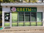 Malibu (Astrakhanskaya ulitsa, 188), flower shop
