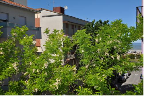 Фото Hotel Plaza