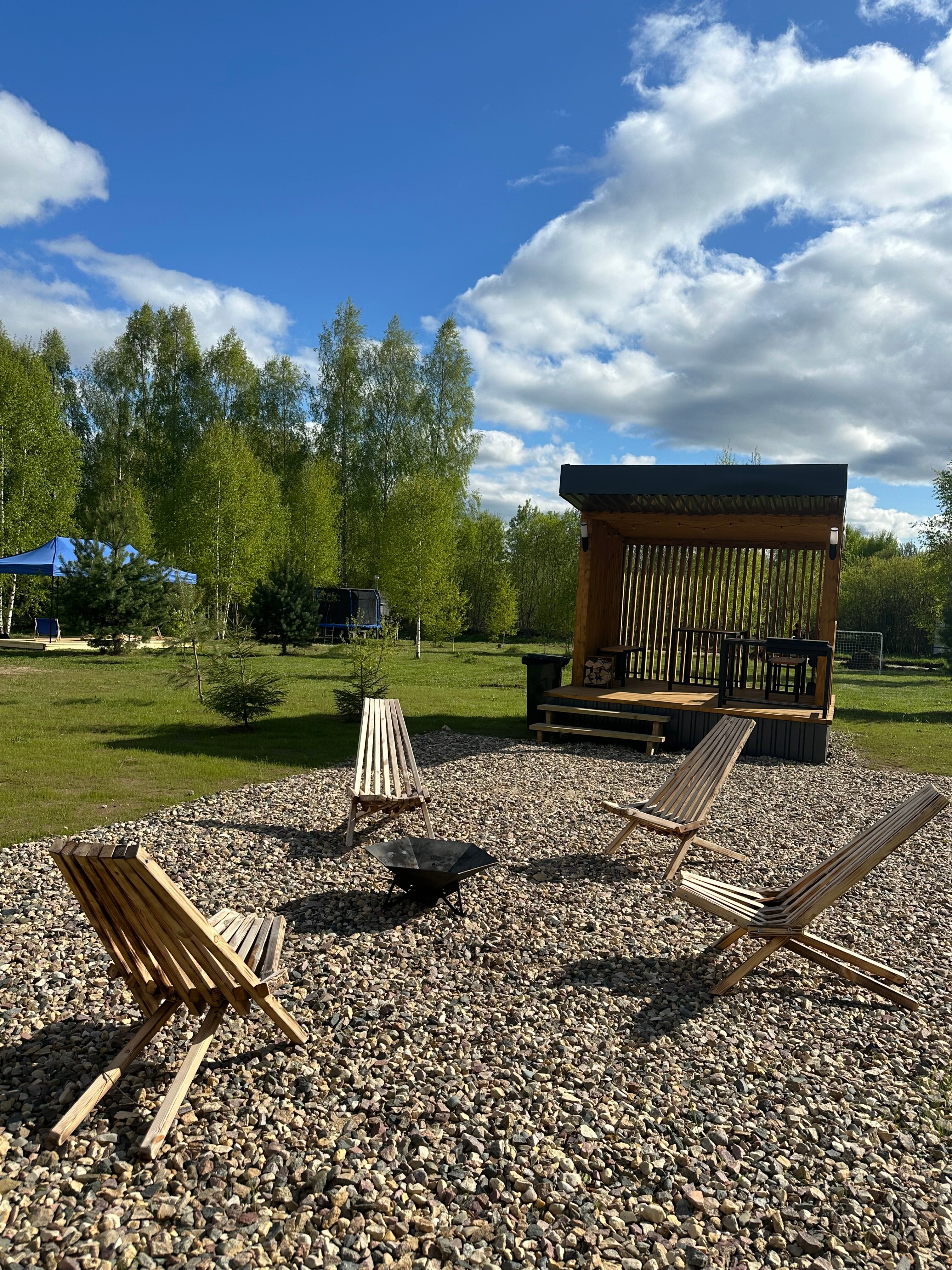 Фото Лес и Волга