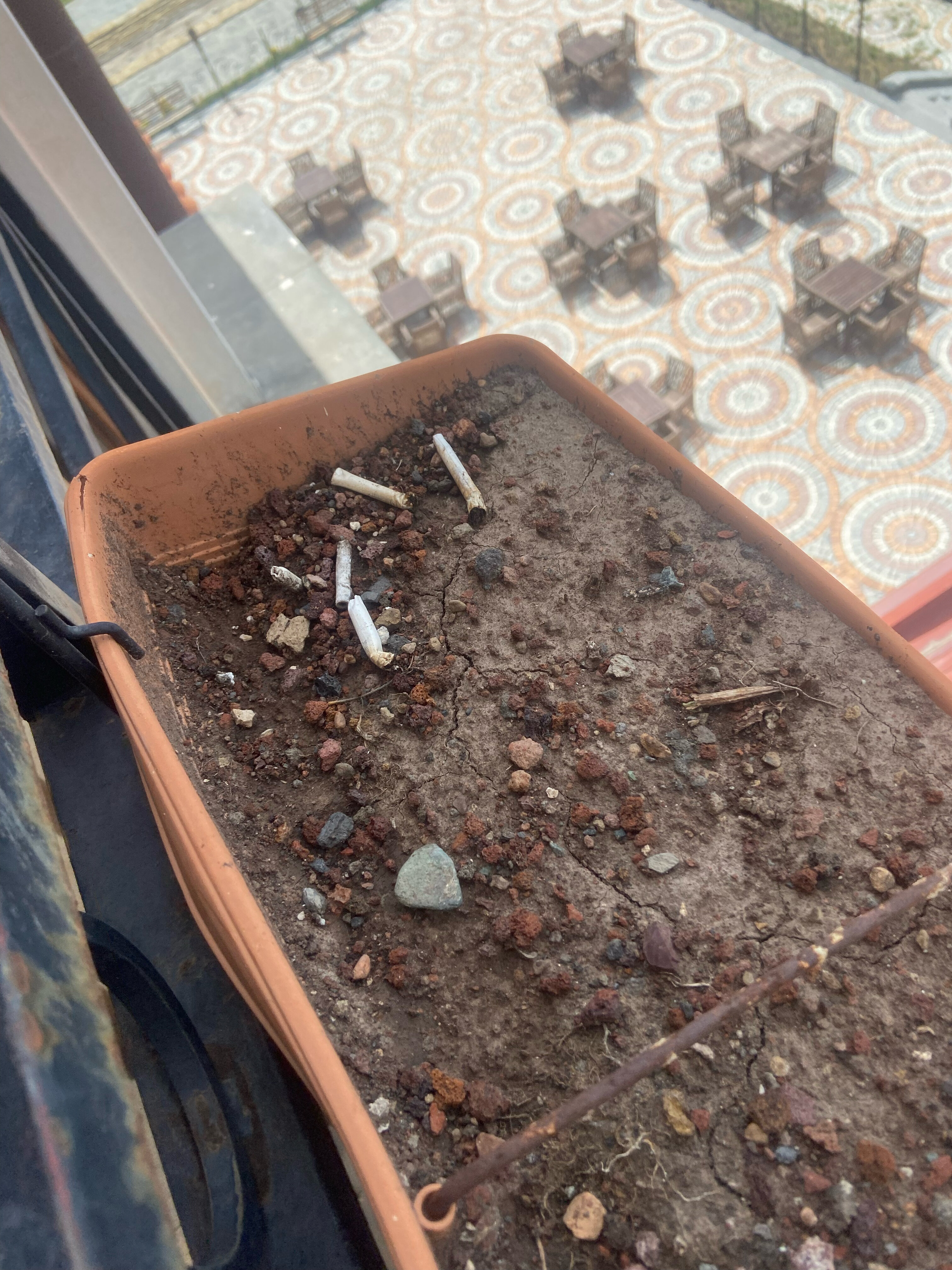 Фото Отель Кавказ