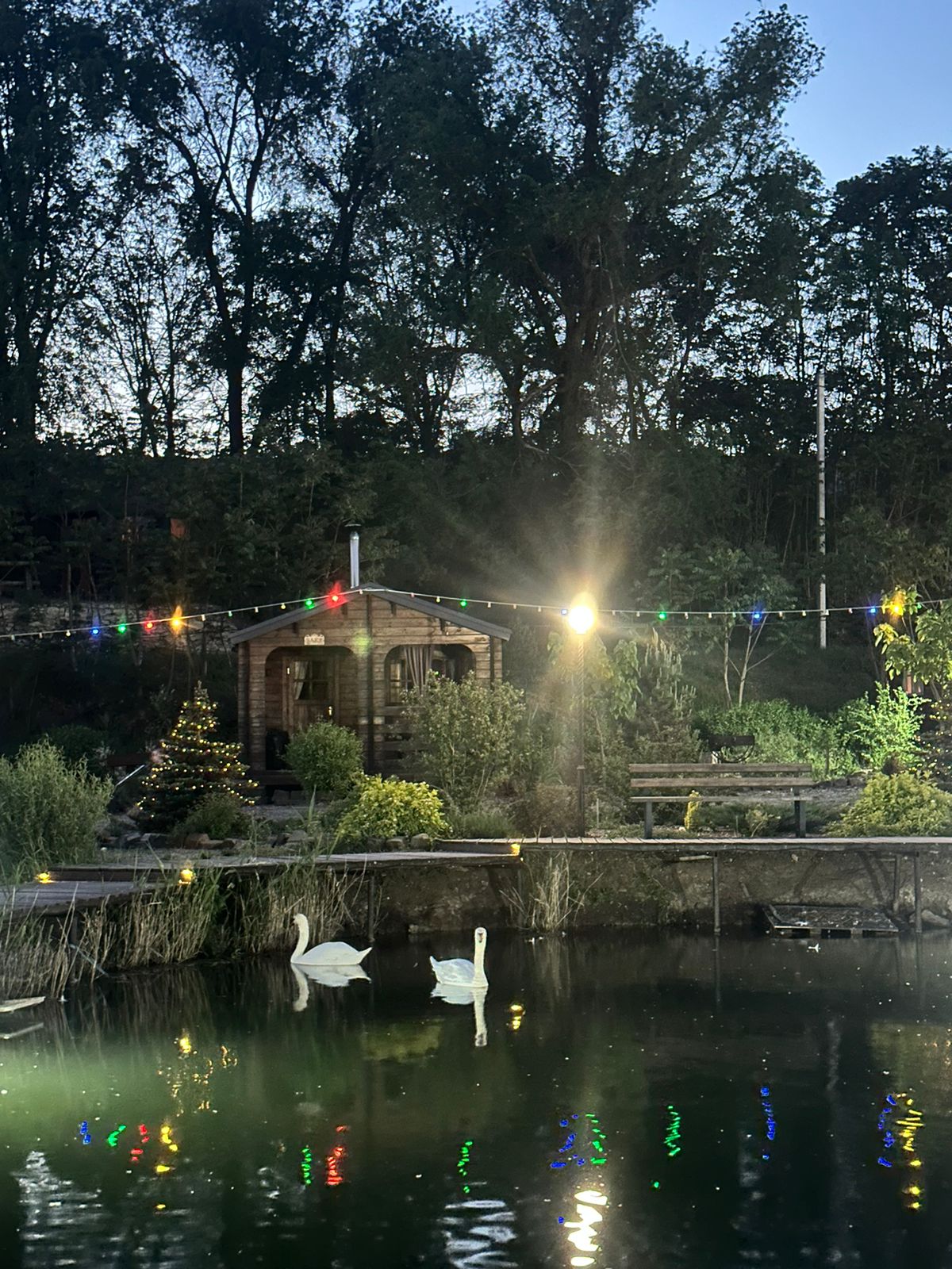 Фото Эко парк-отель Карелия