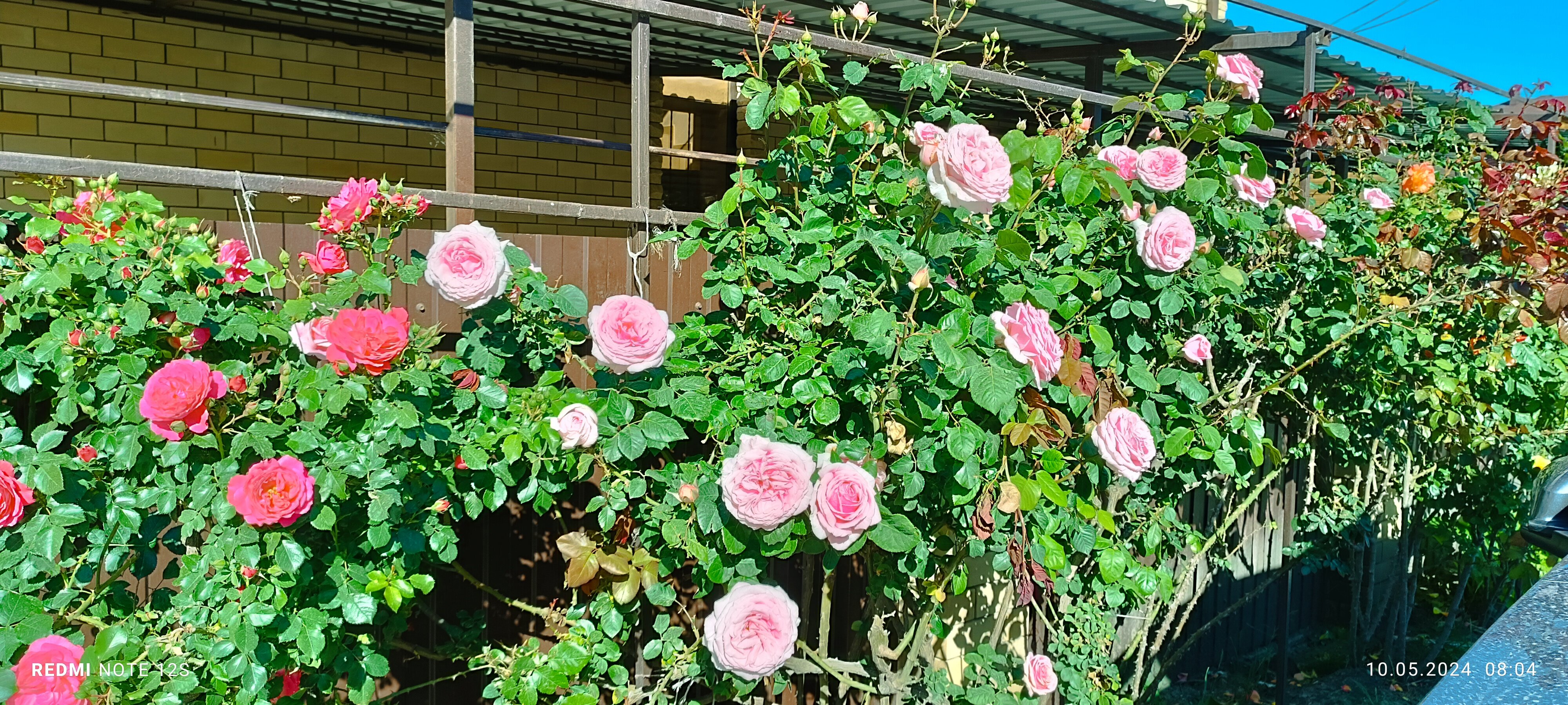 Фото Антипов