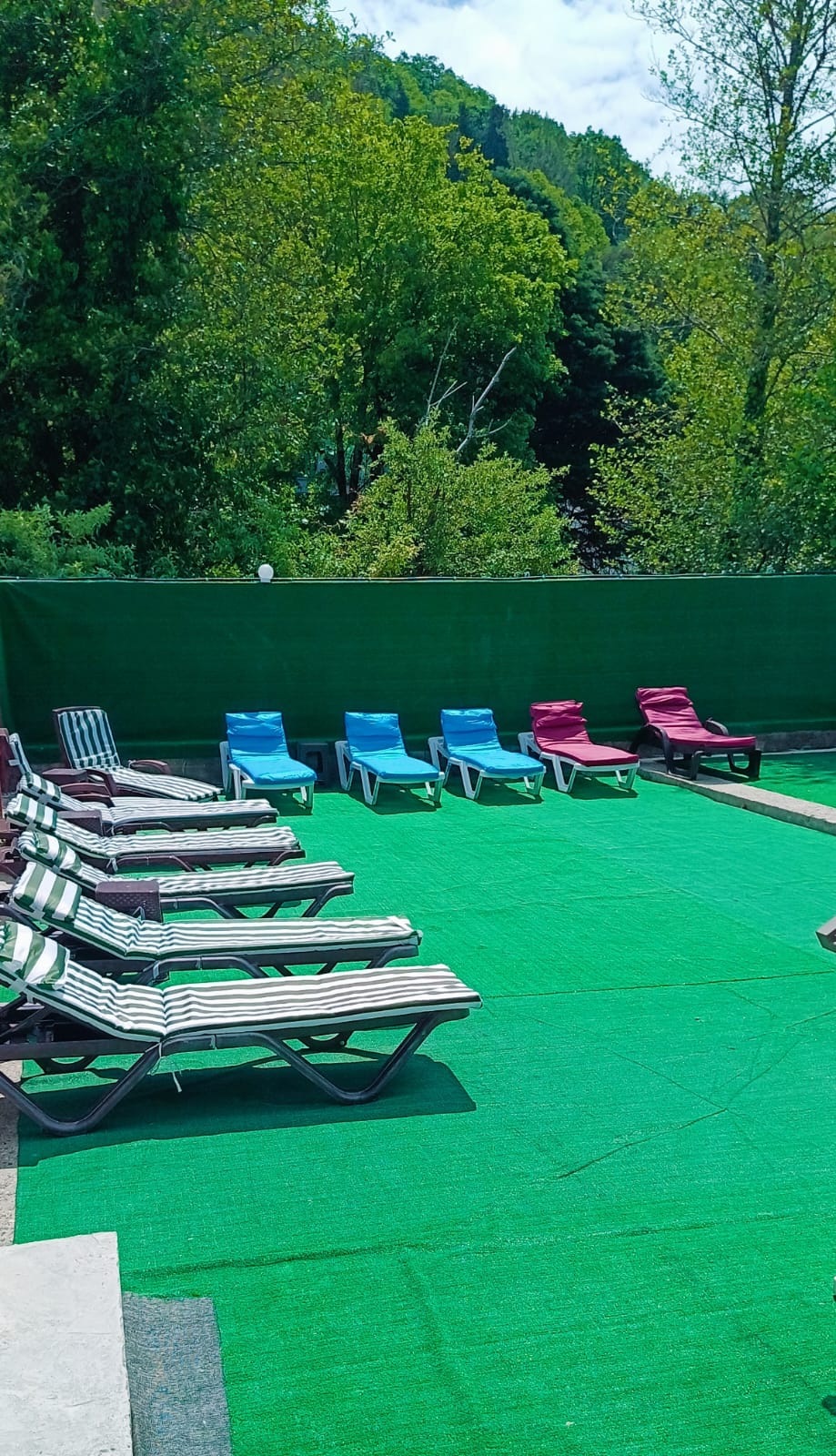 Фото ЛооБич