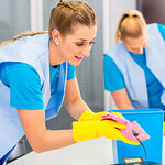 Work Force Maids (7, 12nd Street, Al Quoz 3, Al Qouz, Hadaeq Mohammed Bin Rashid, Dubai), cleaning services