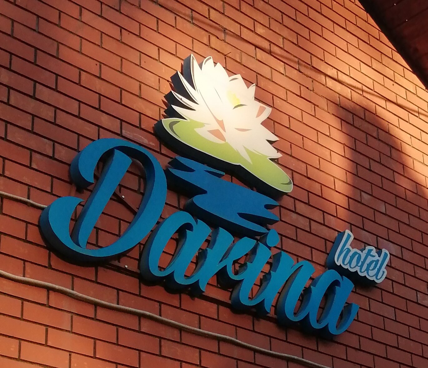 Фото Дарина