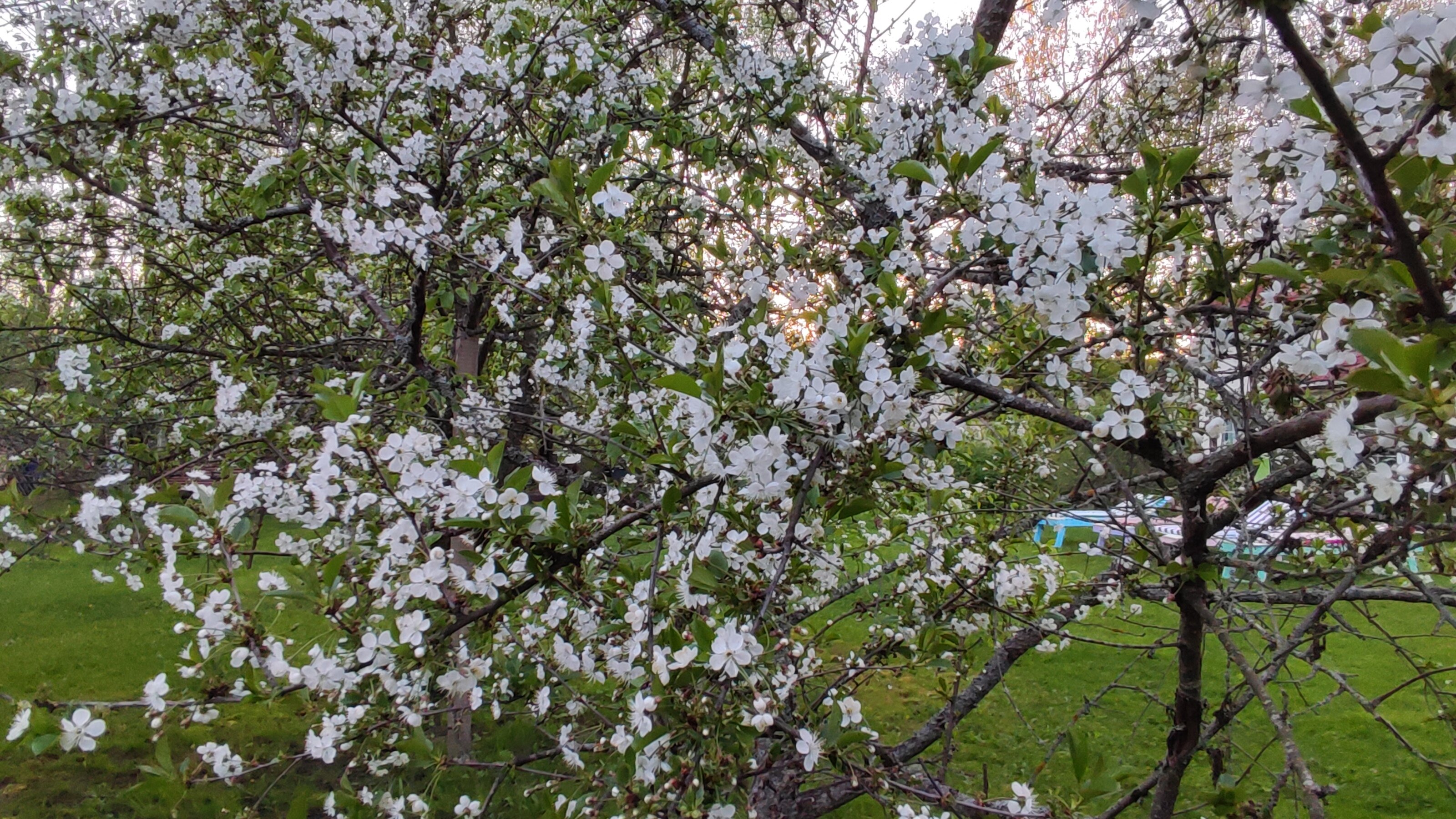 Фото Отель-коттедж Ф&Ф