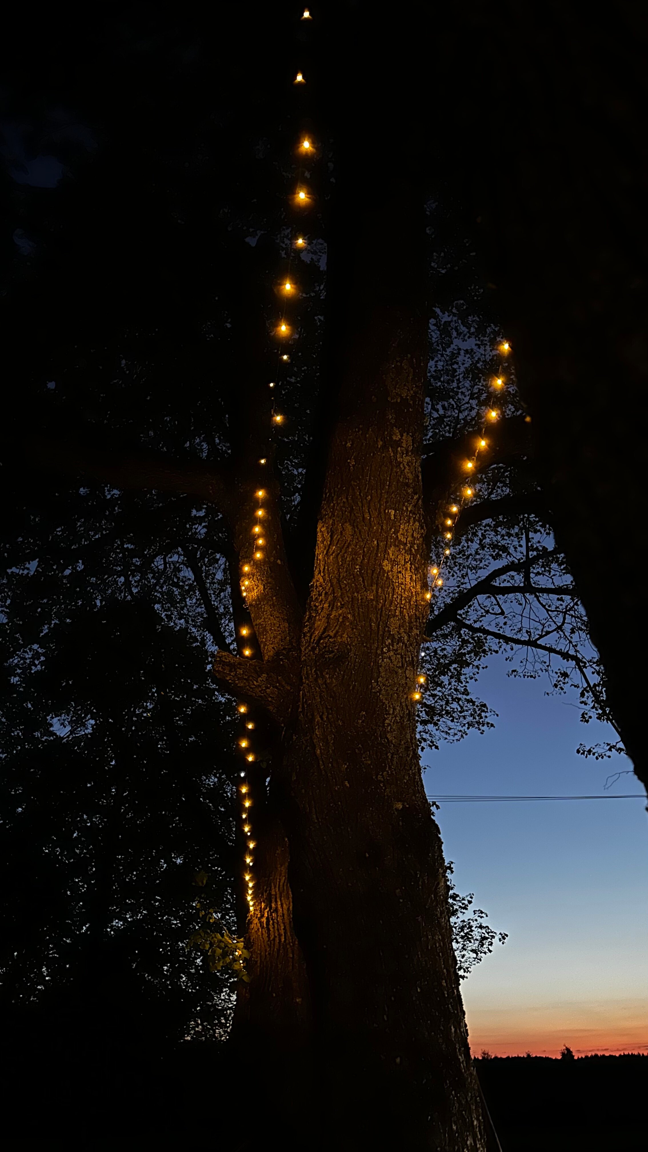 Фото Романовъ home