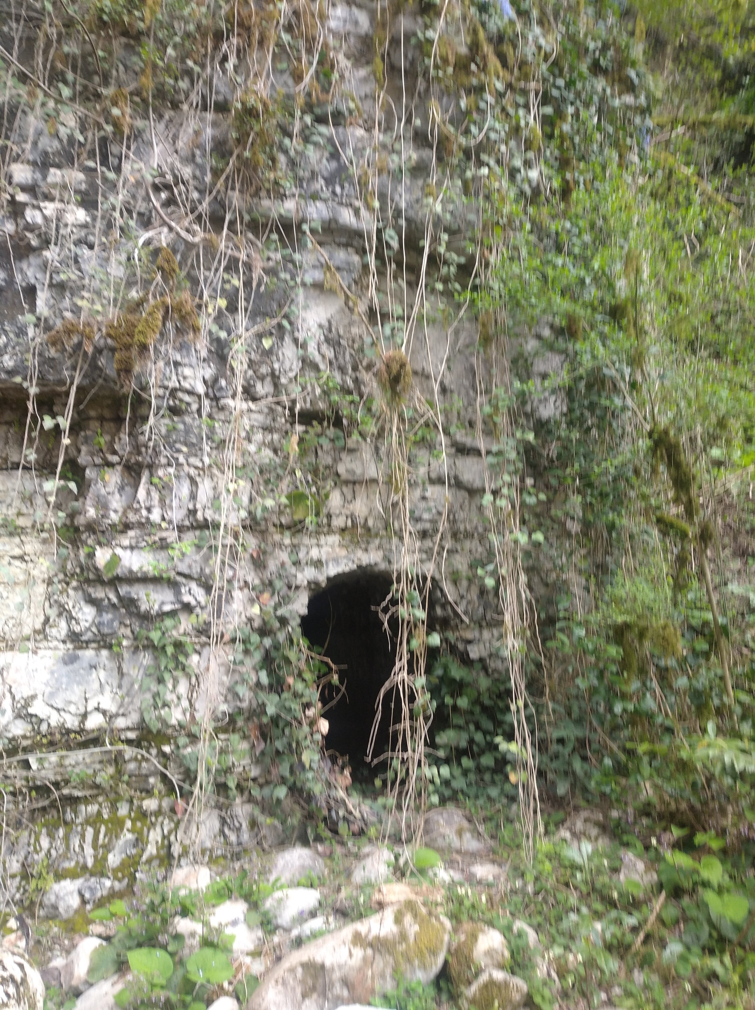 Фото Жоэквара