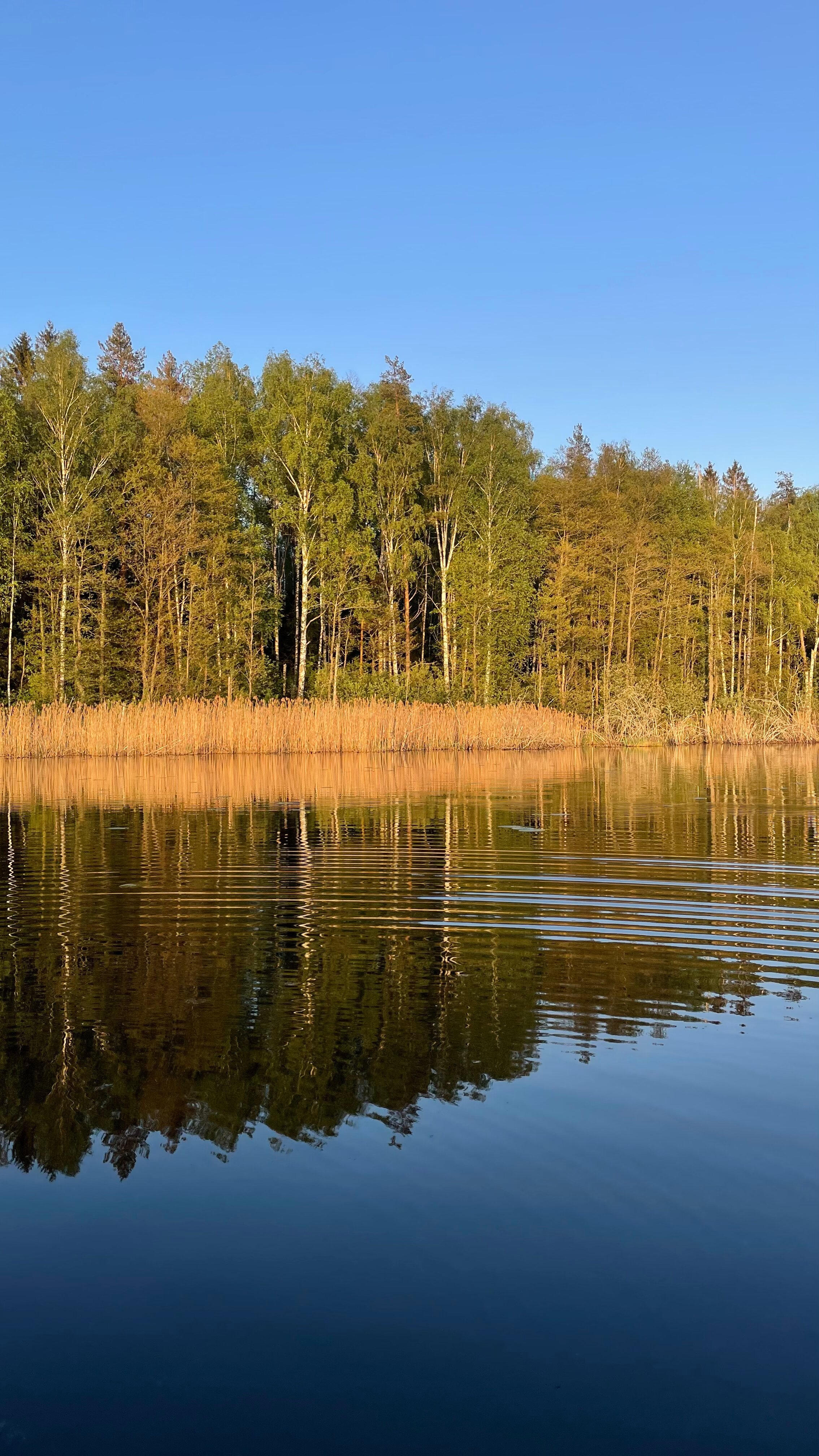 Фото Имение Алтунъ, корпус Барский флигель