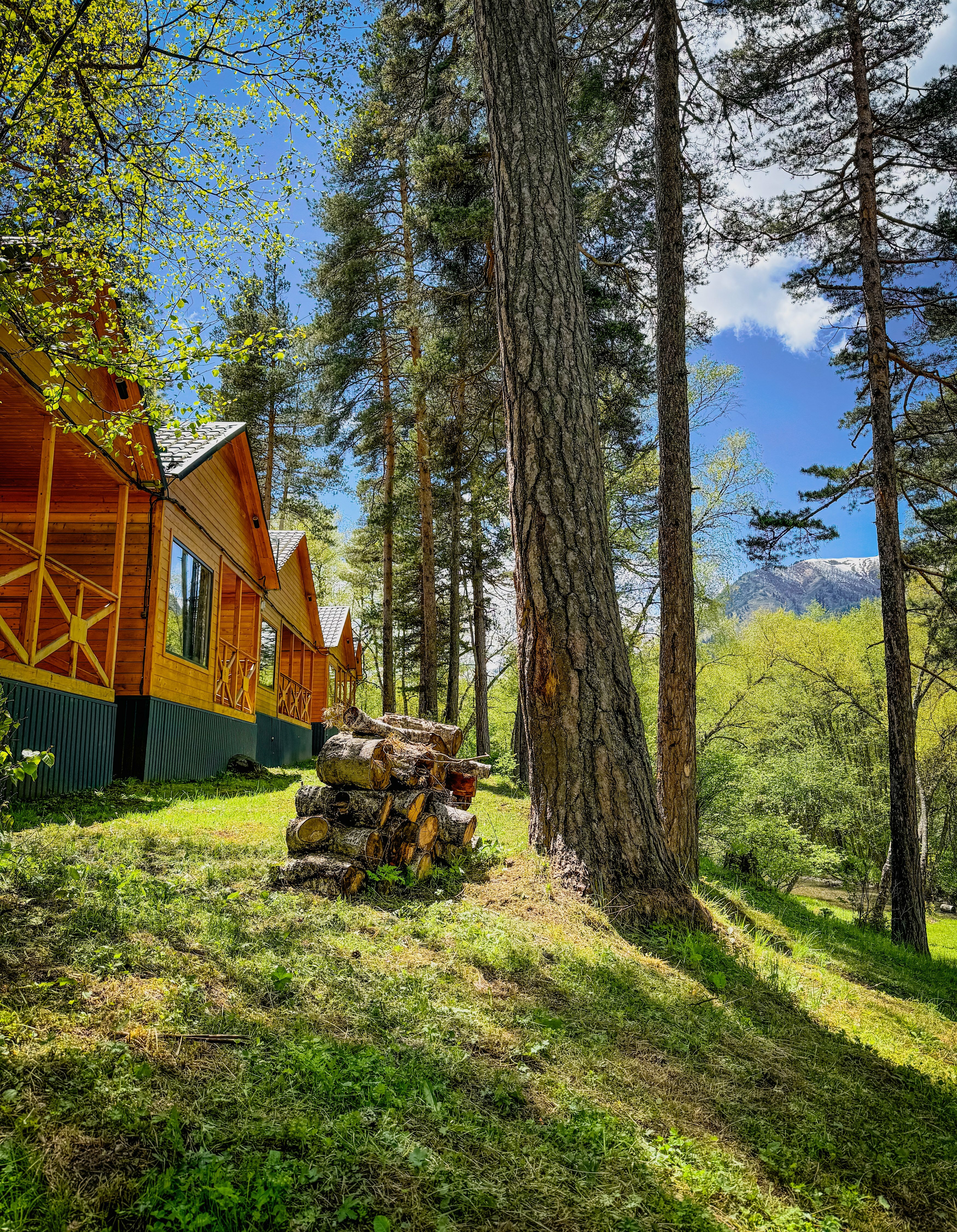 Фото Шале Хвоя