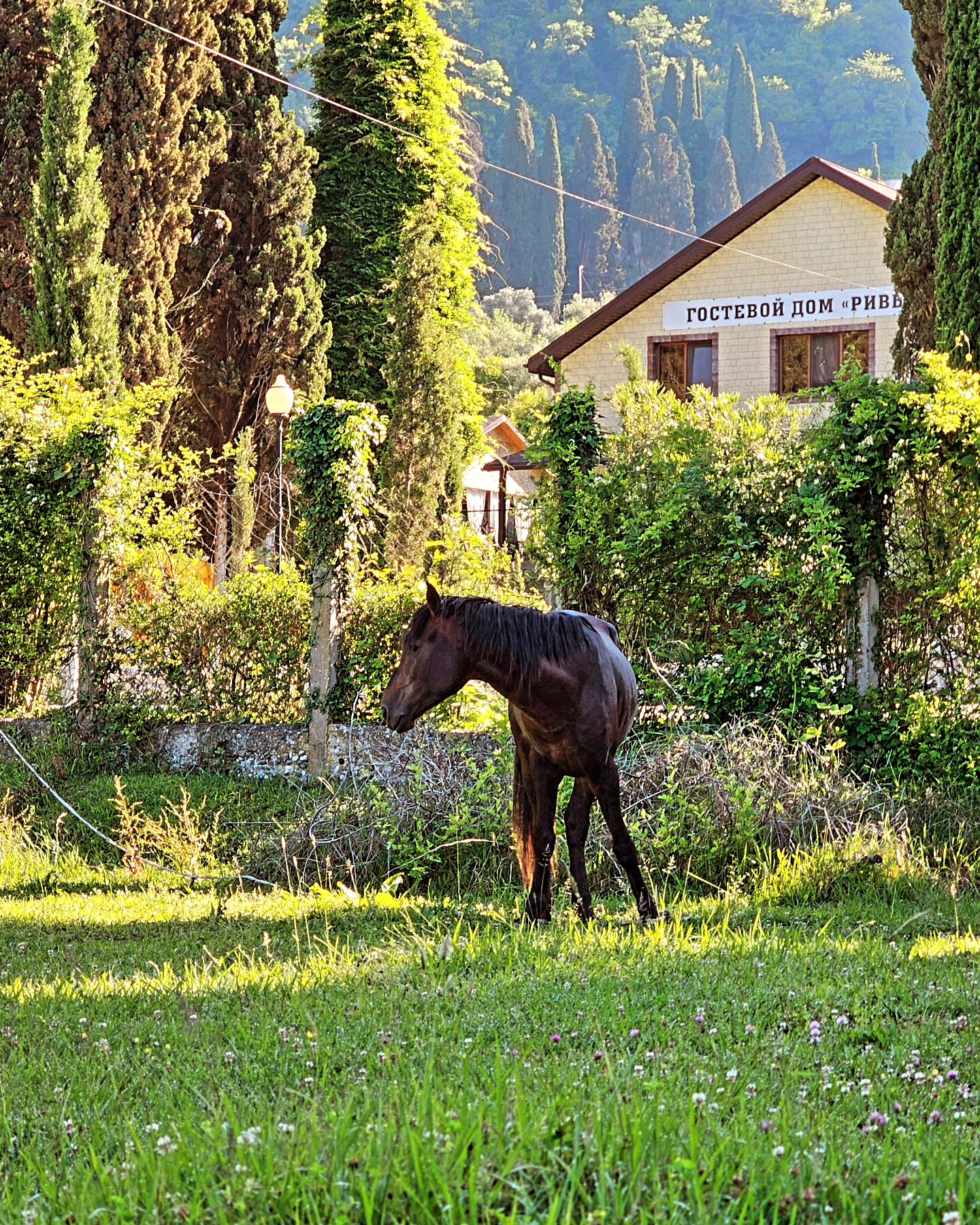 Фото Родина