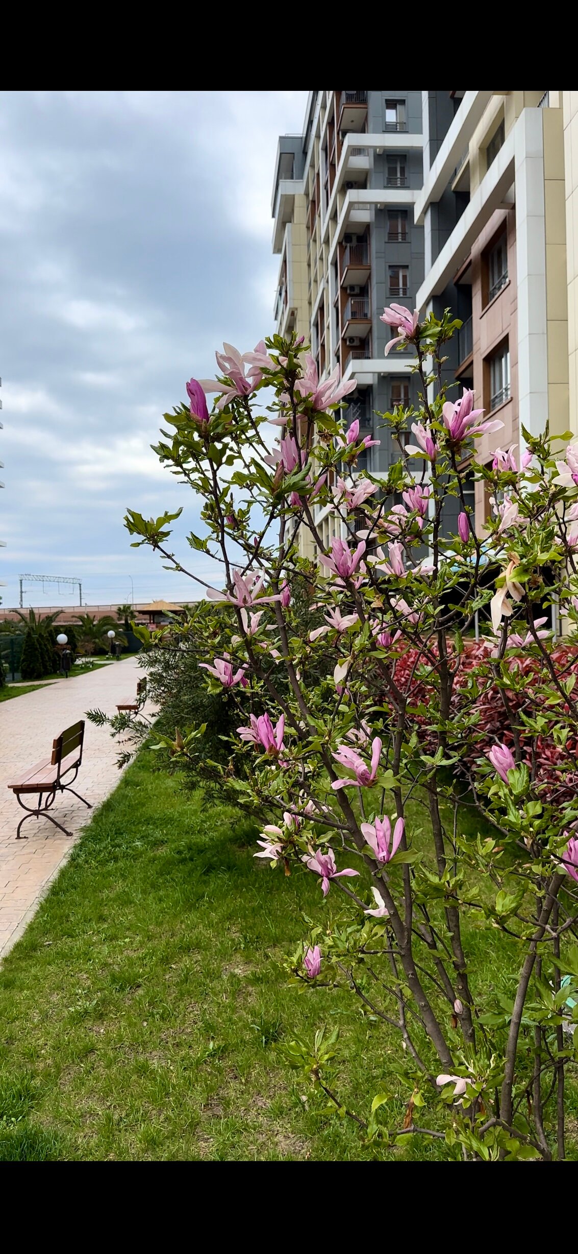 Фото Sochi Inn Aparts Karavella