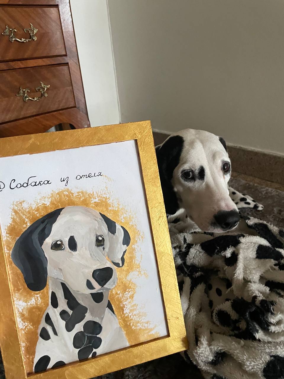 Фото Бристоль