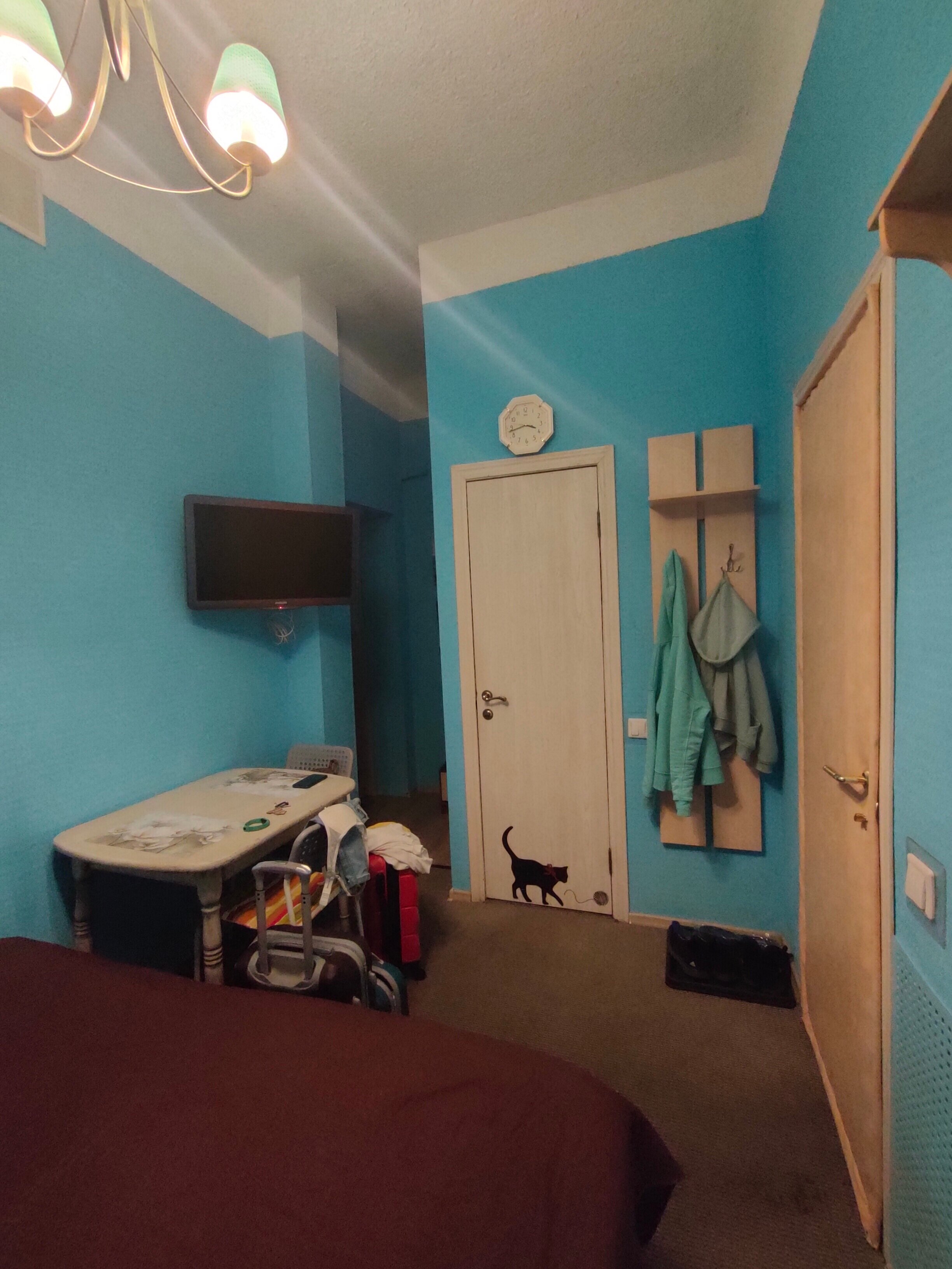 Фото Старый кот