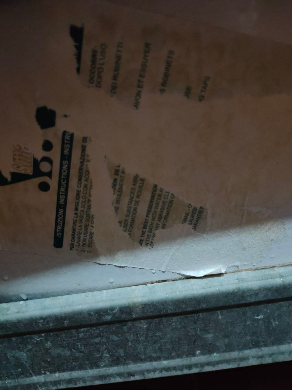 Фото Берёзка