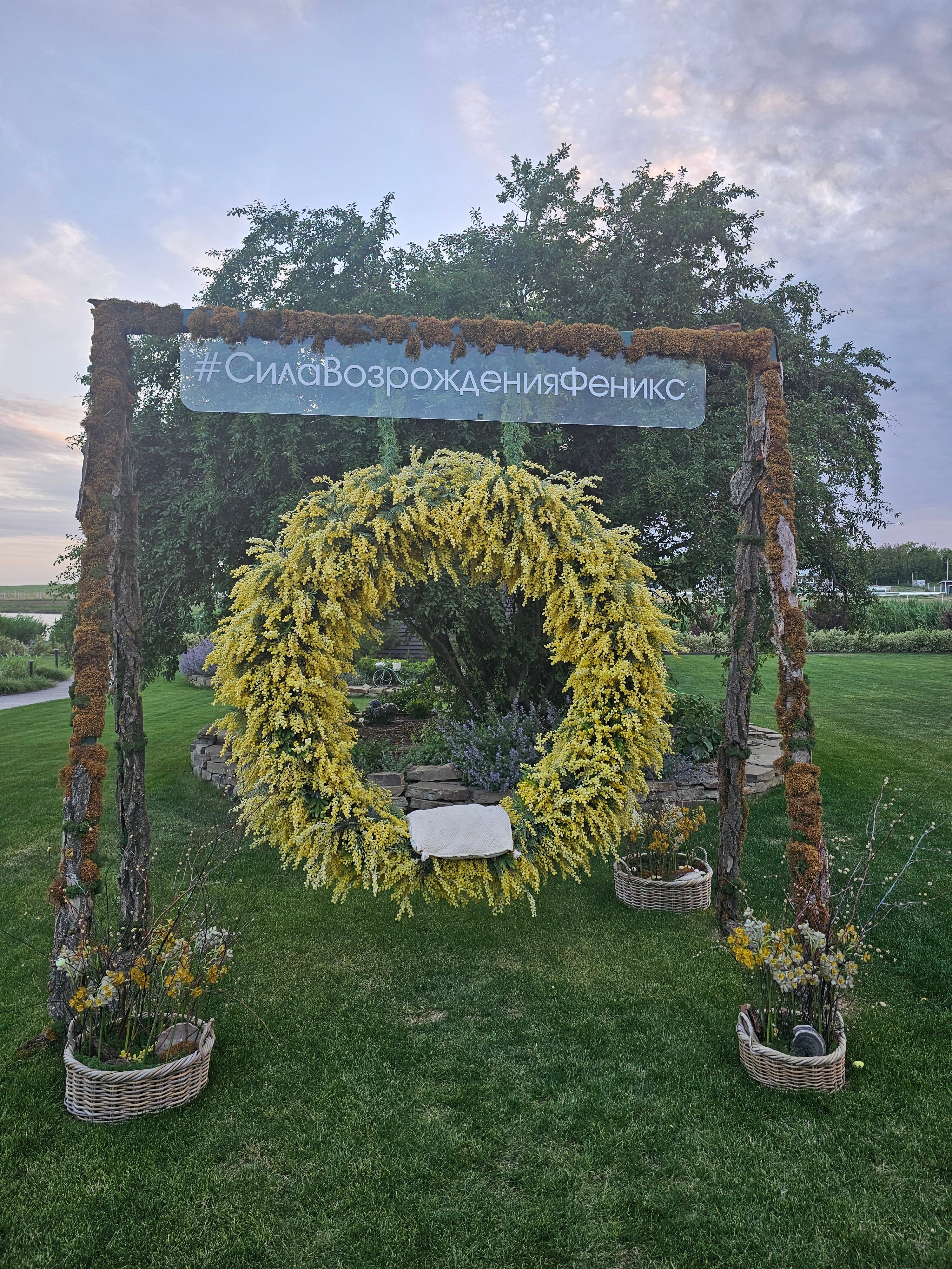 Фото Феникс