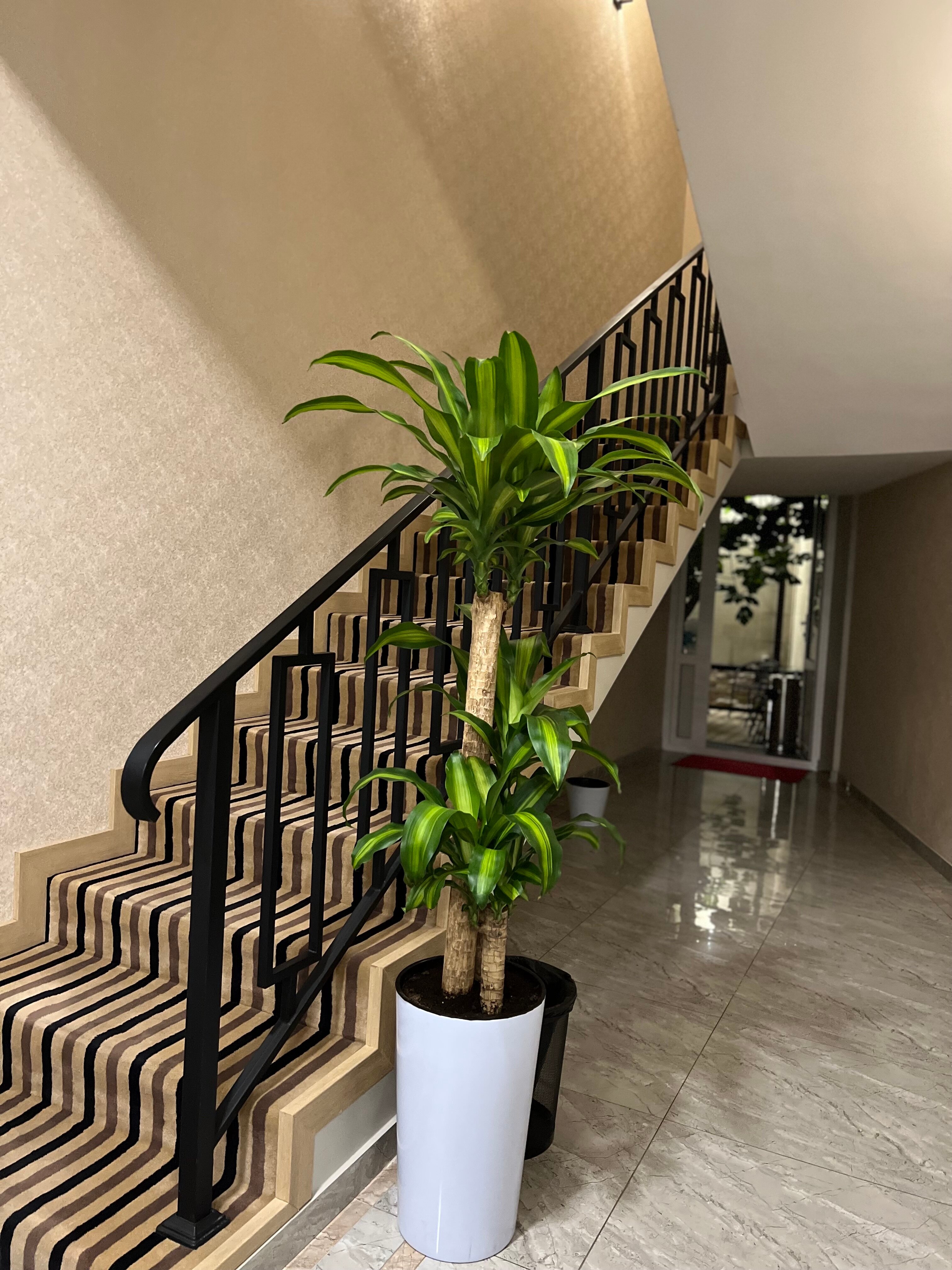 Фото Bristol Hotel Tashkent