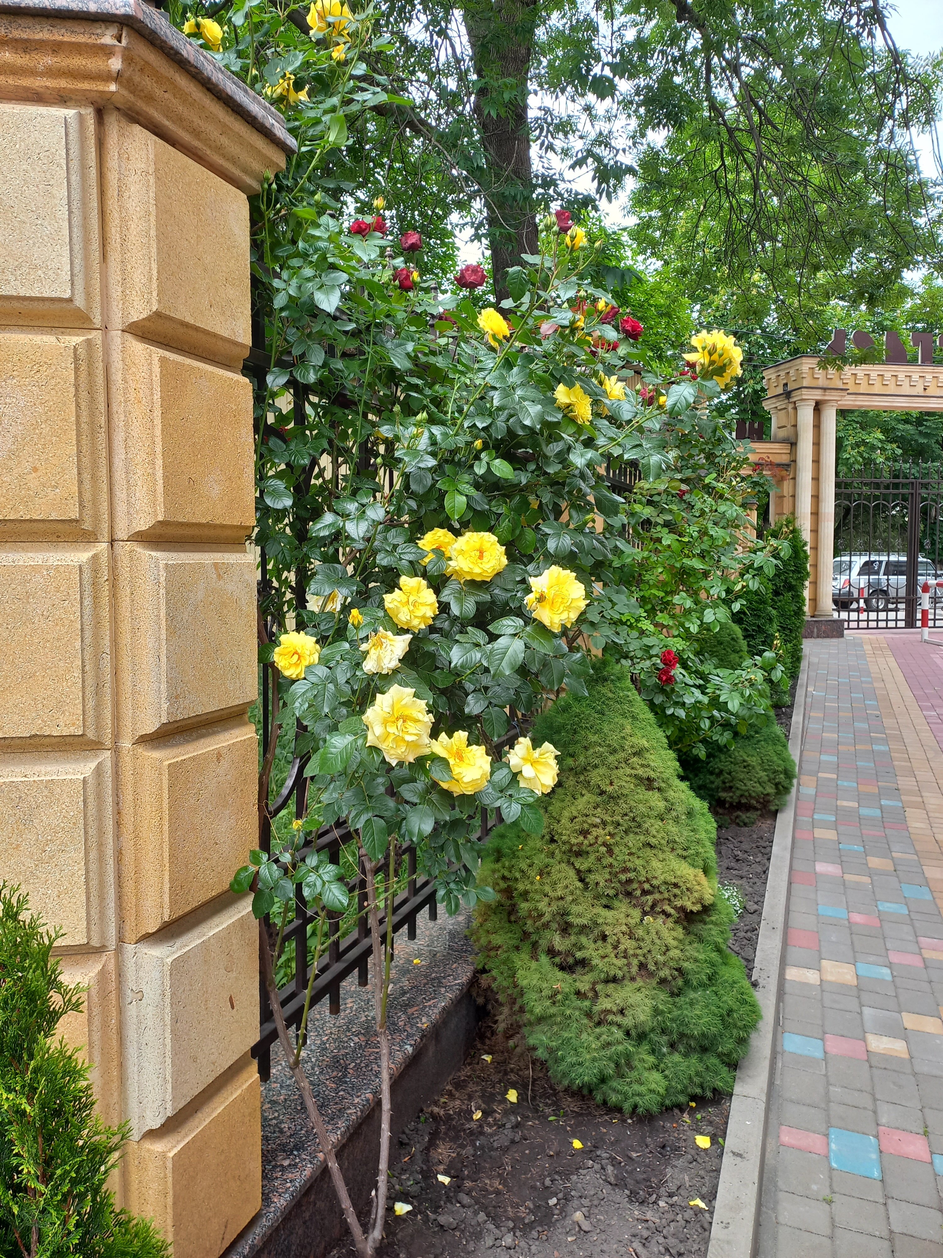 Фото Бугарь