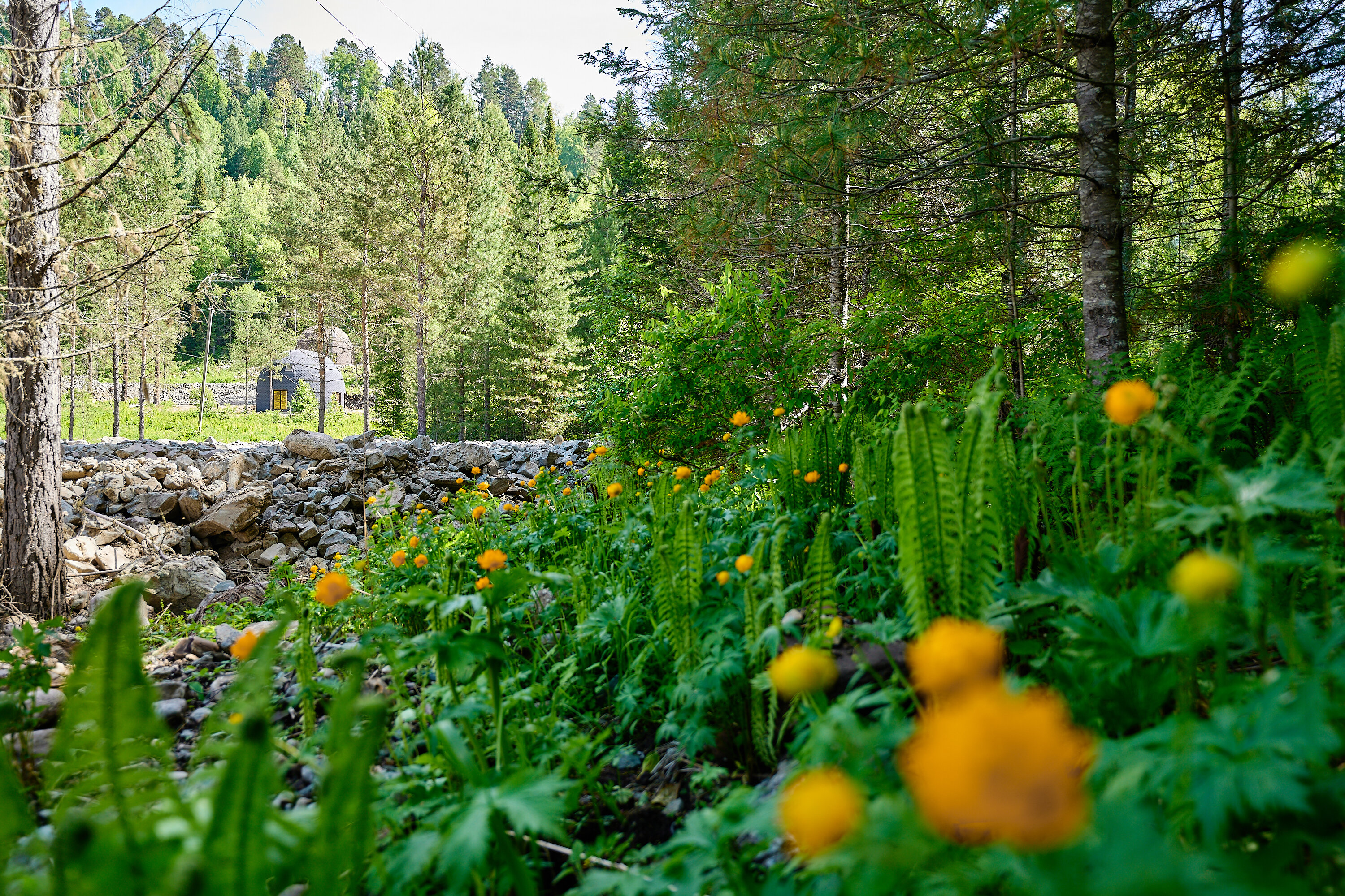 Фото Галактика Алтай