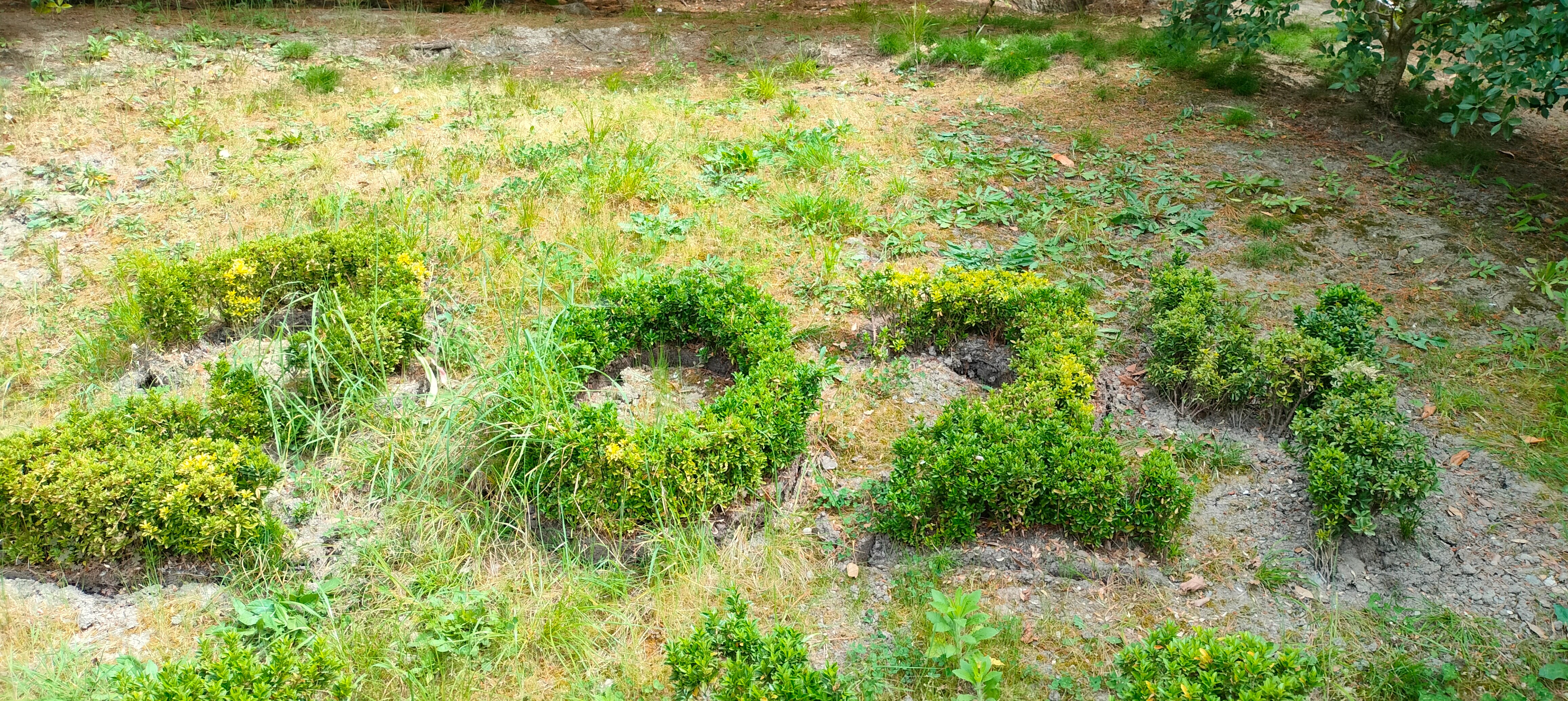 Фото Санаторий Магадан
