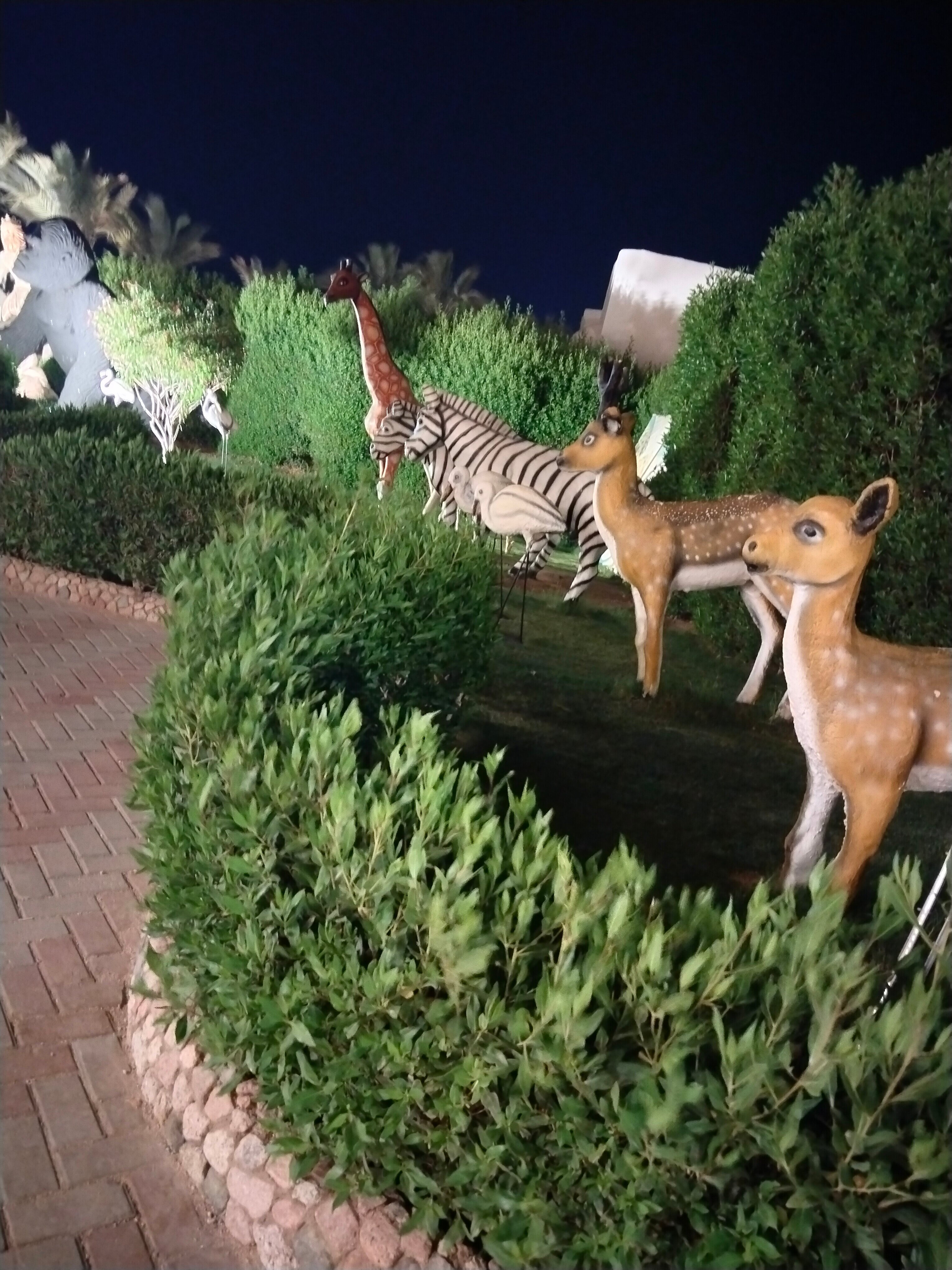 Фото Sea Beach Aqua Park Resort