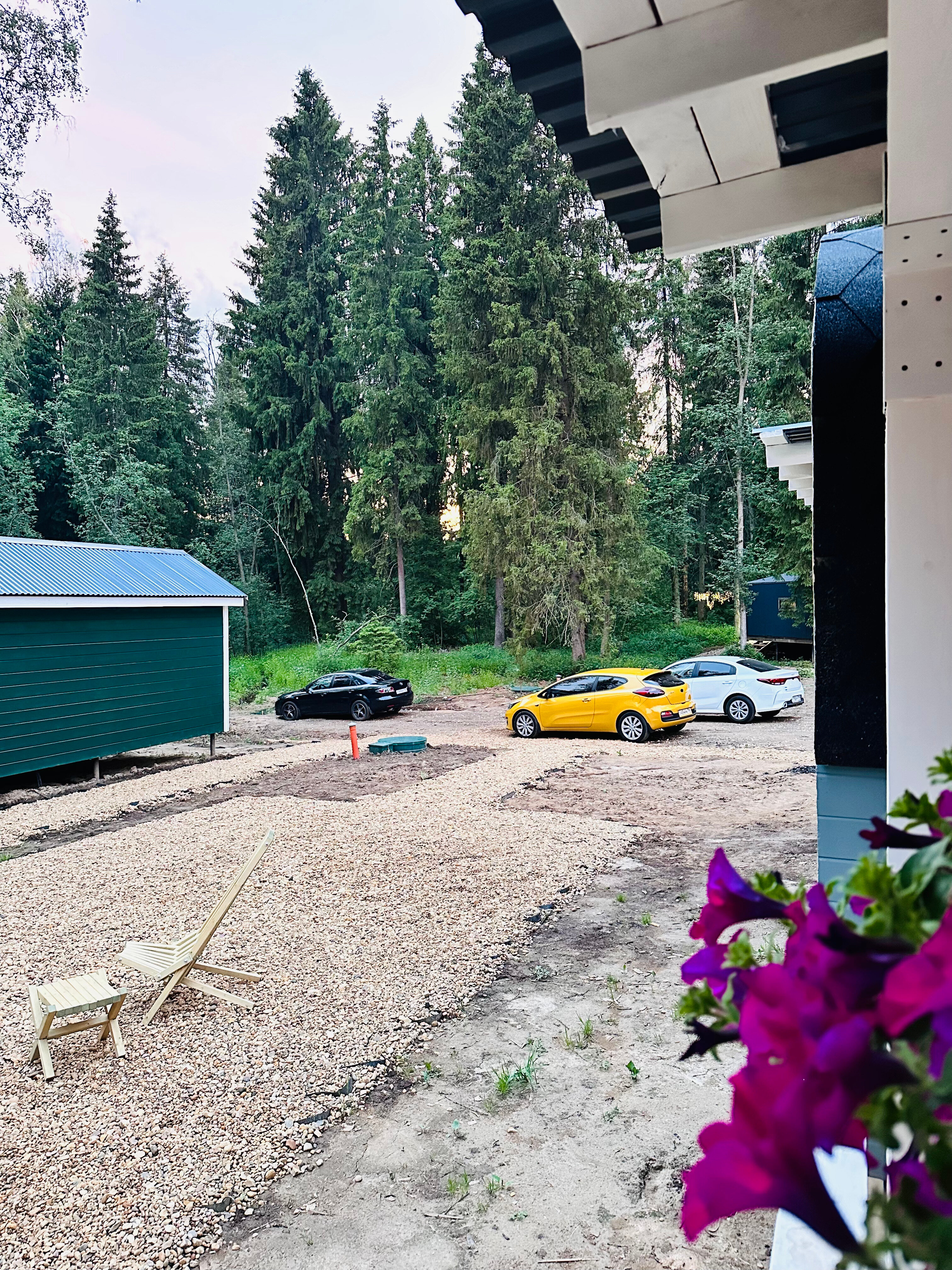 Фото Лесная тропа