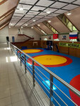 SPb Gbou Dod SDYuSShOR Kompleksnaya shkola vysshego sportivnogo masterstva (Kamennoostrovskiy Avenue, 68), sports school