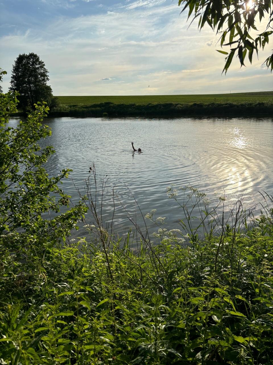 Фото Ореховая роща