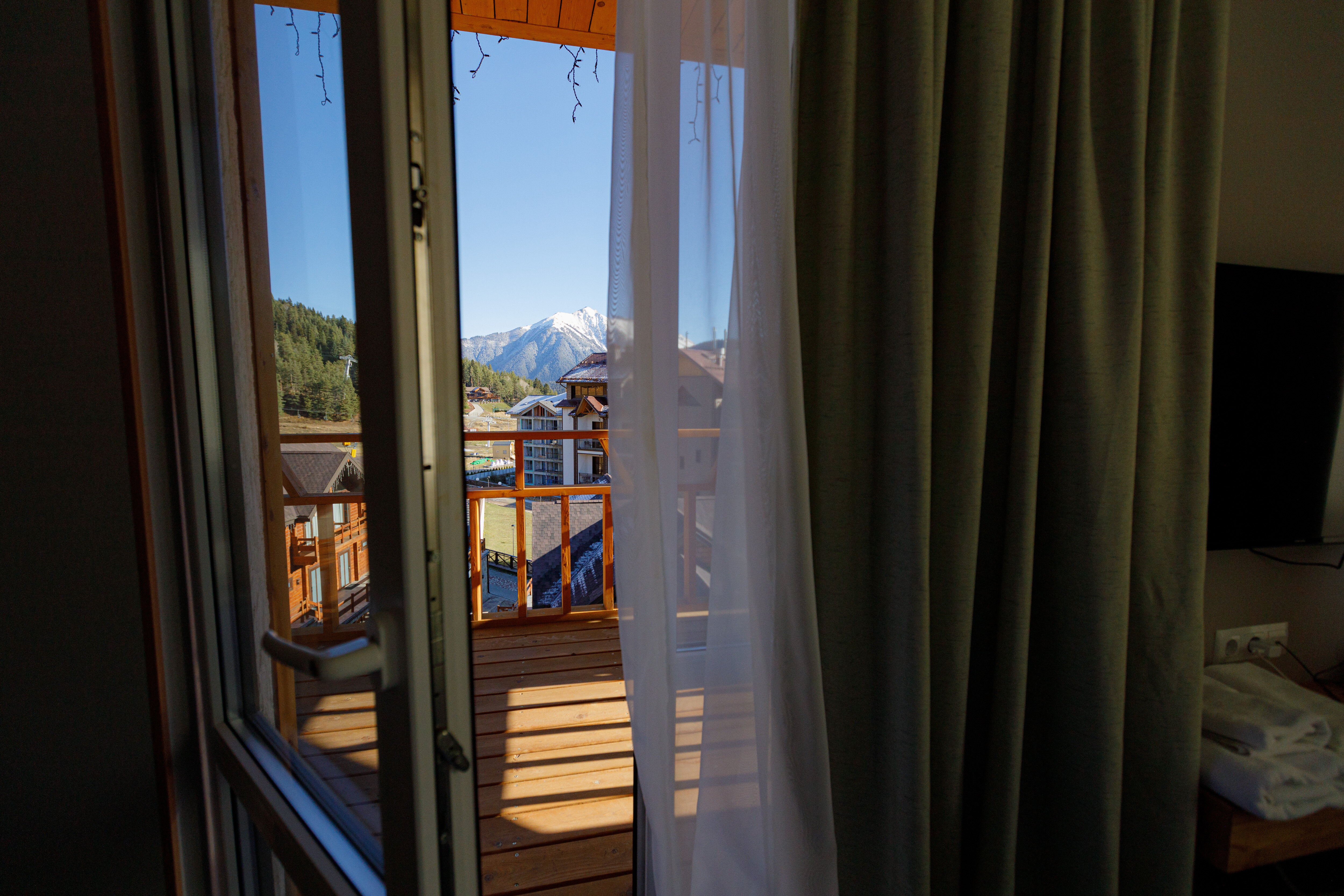 Фото Гризли