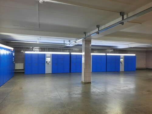 Poezdda jinnilik surati