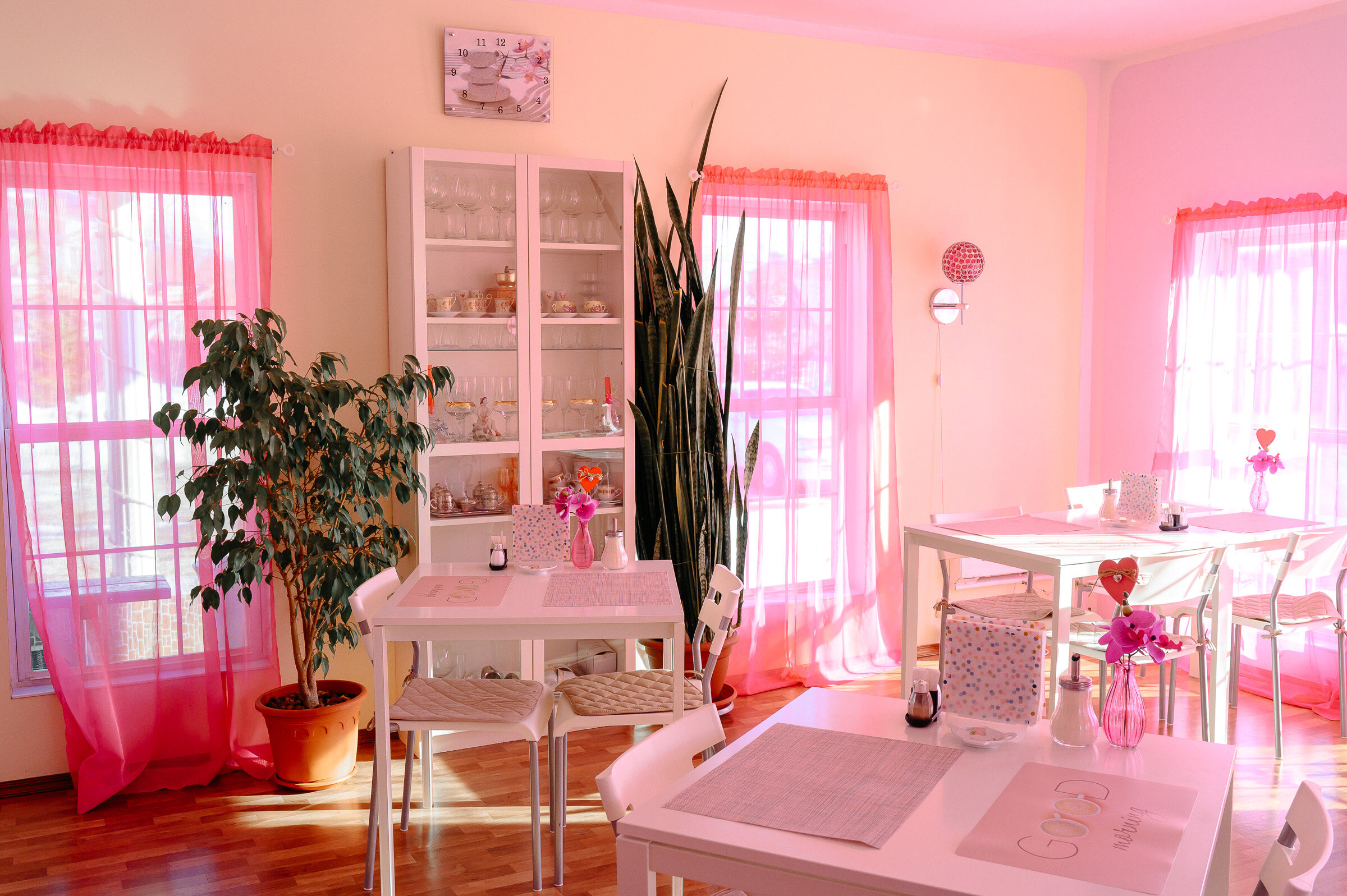 Фото Орхидея