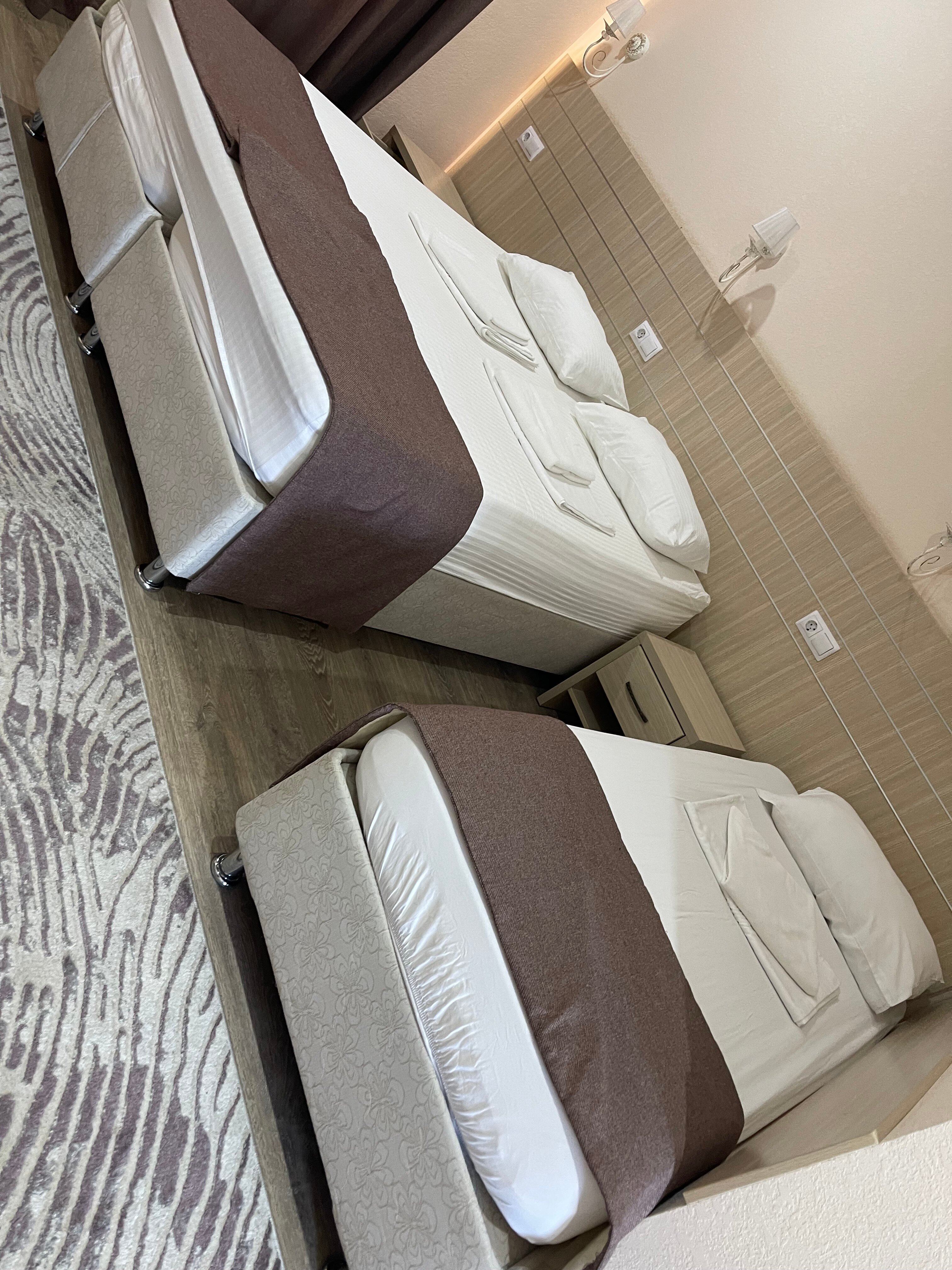 Фото Березка