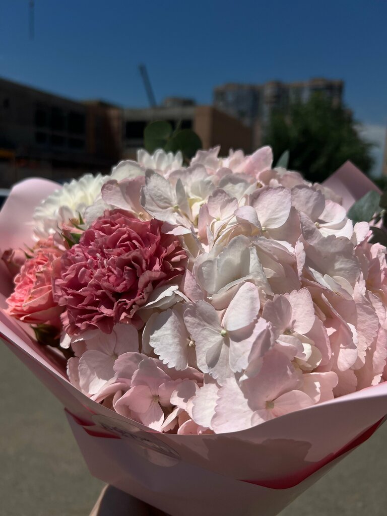 Анастасия Брусничная