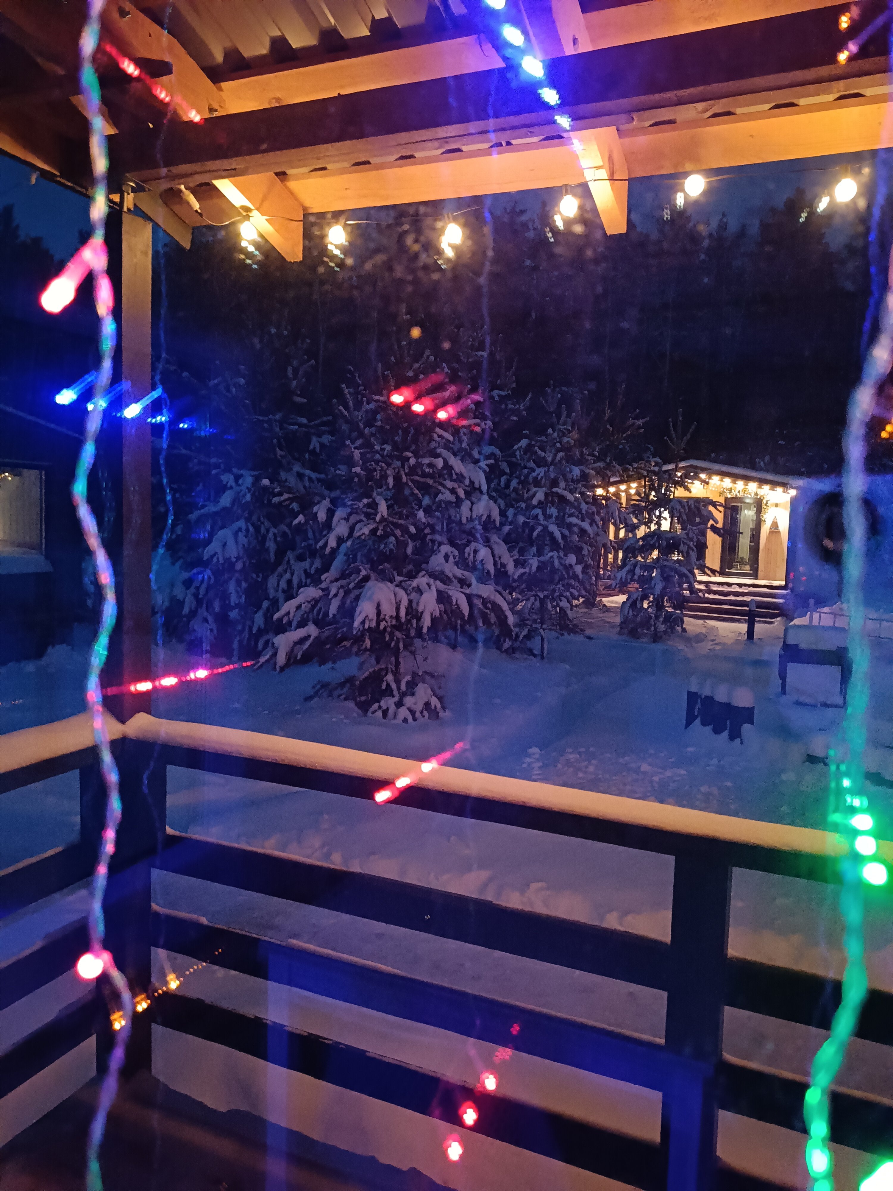 Фото БелкиПарк