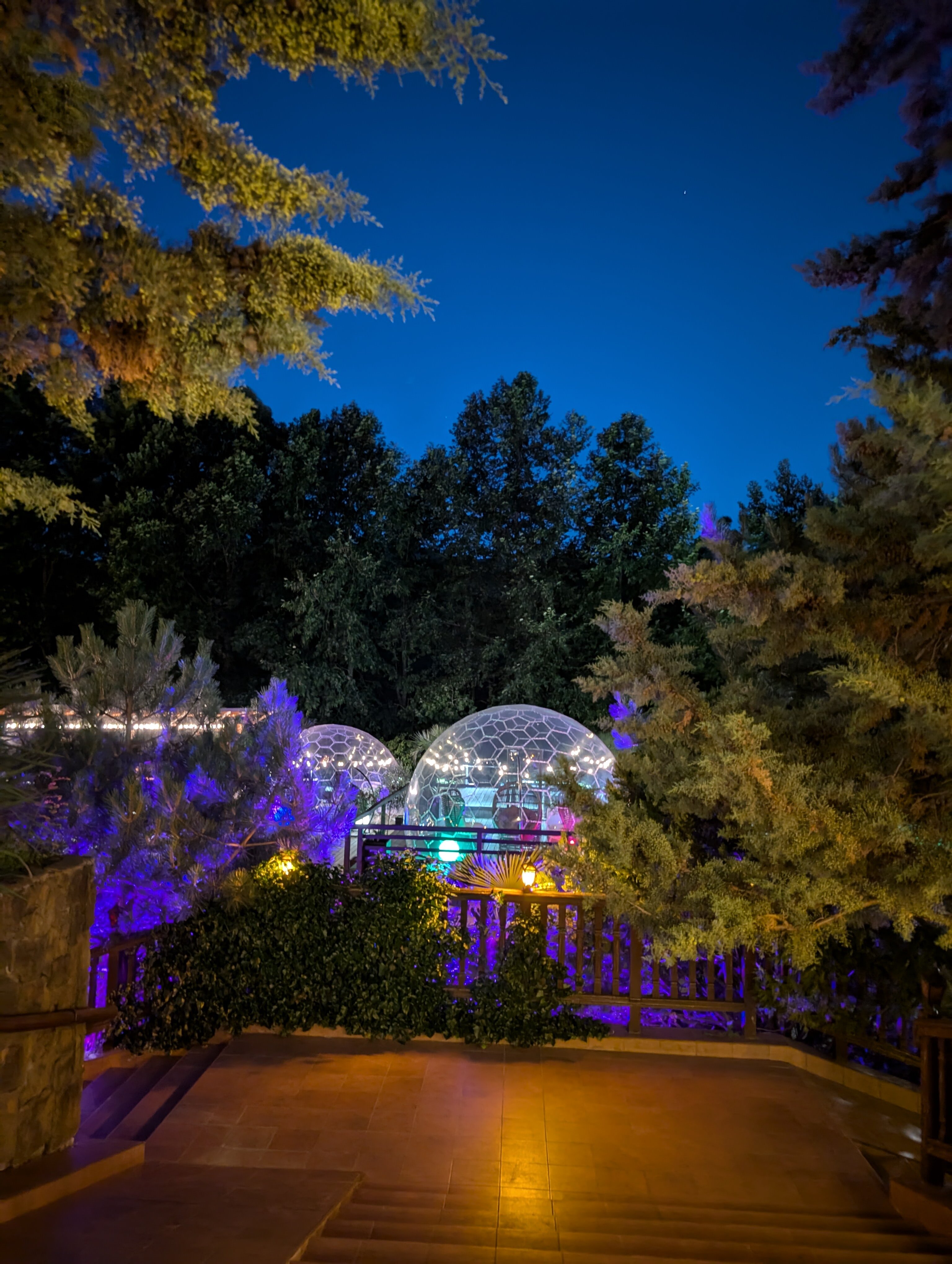 Фото Поляна Сказок