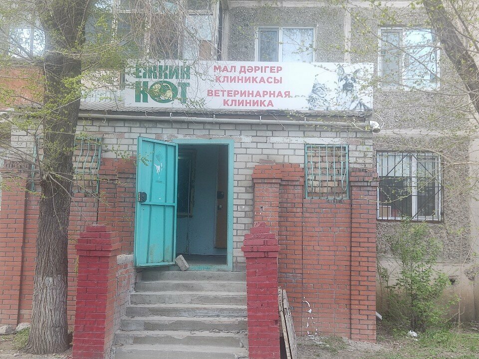 Veterinary clinic Ежкин кот, Ekibastuz, photo