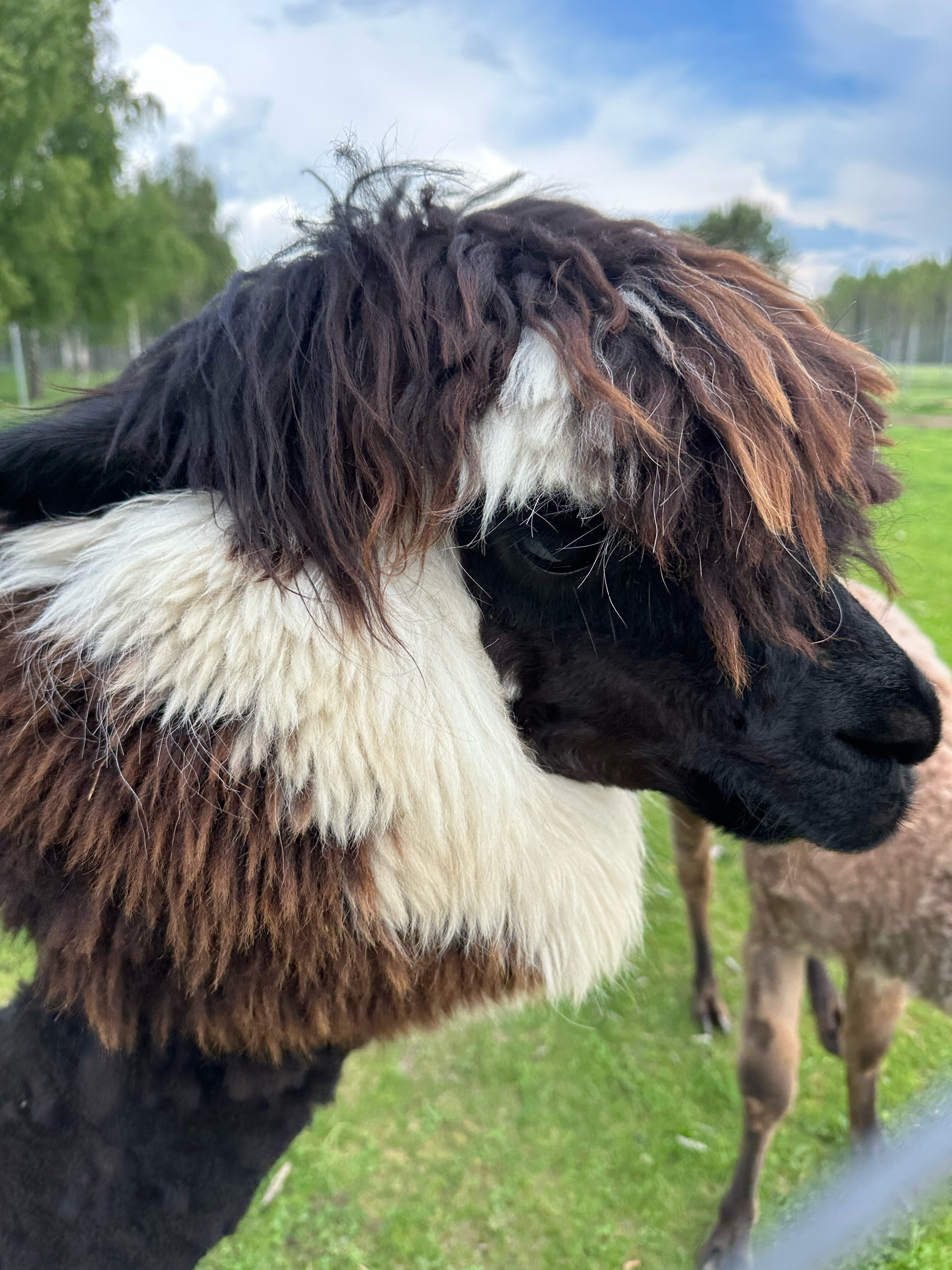 Фото Оленья ферма СудимирЪ