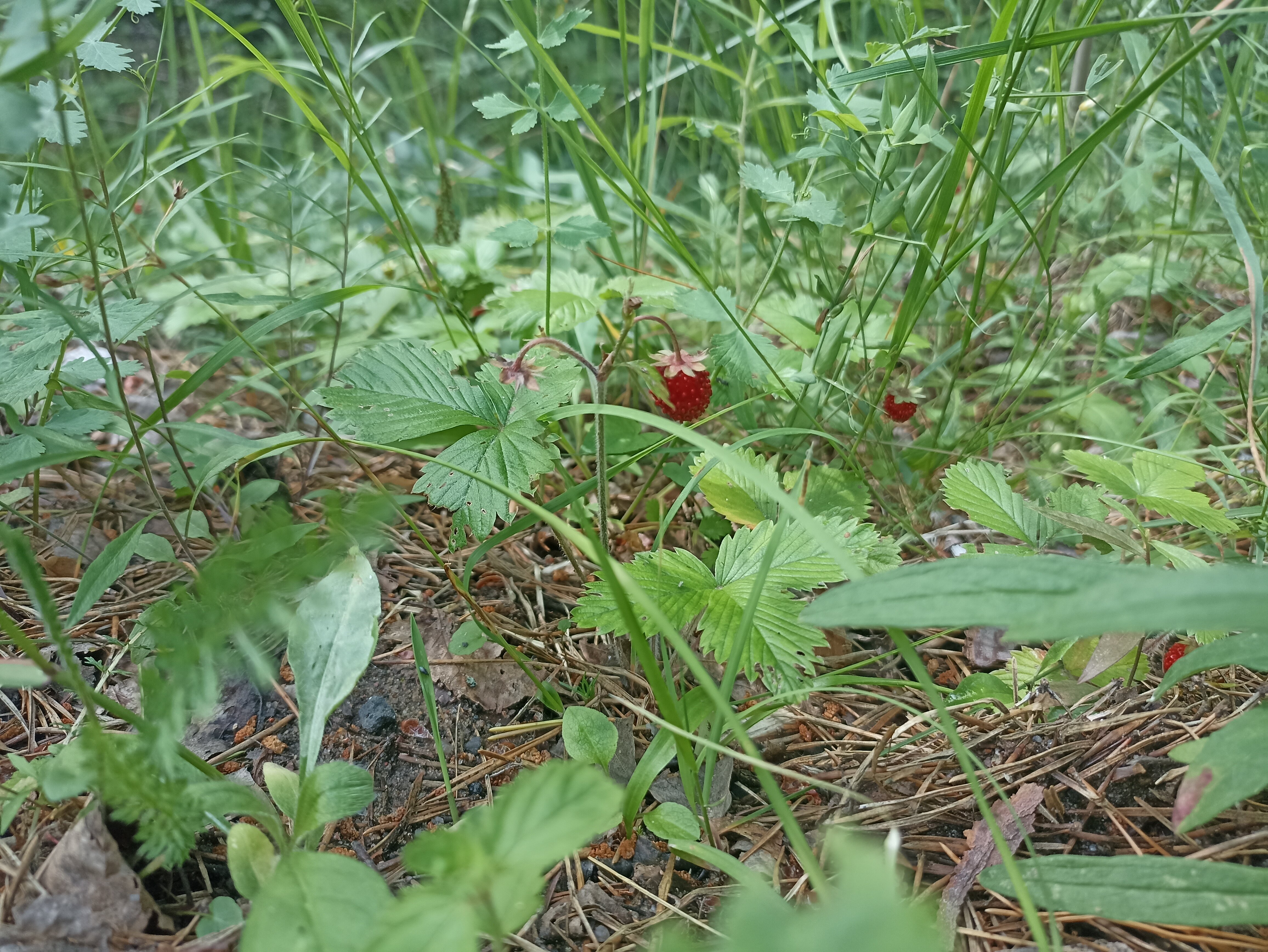 Фото Усадьба Каялина