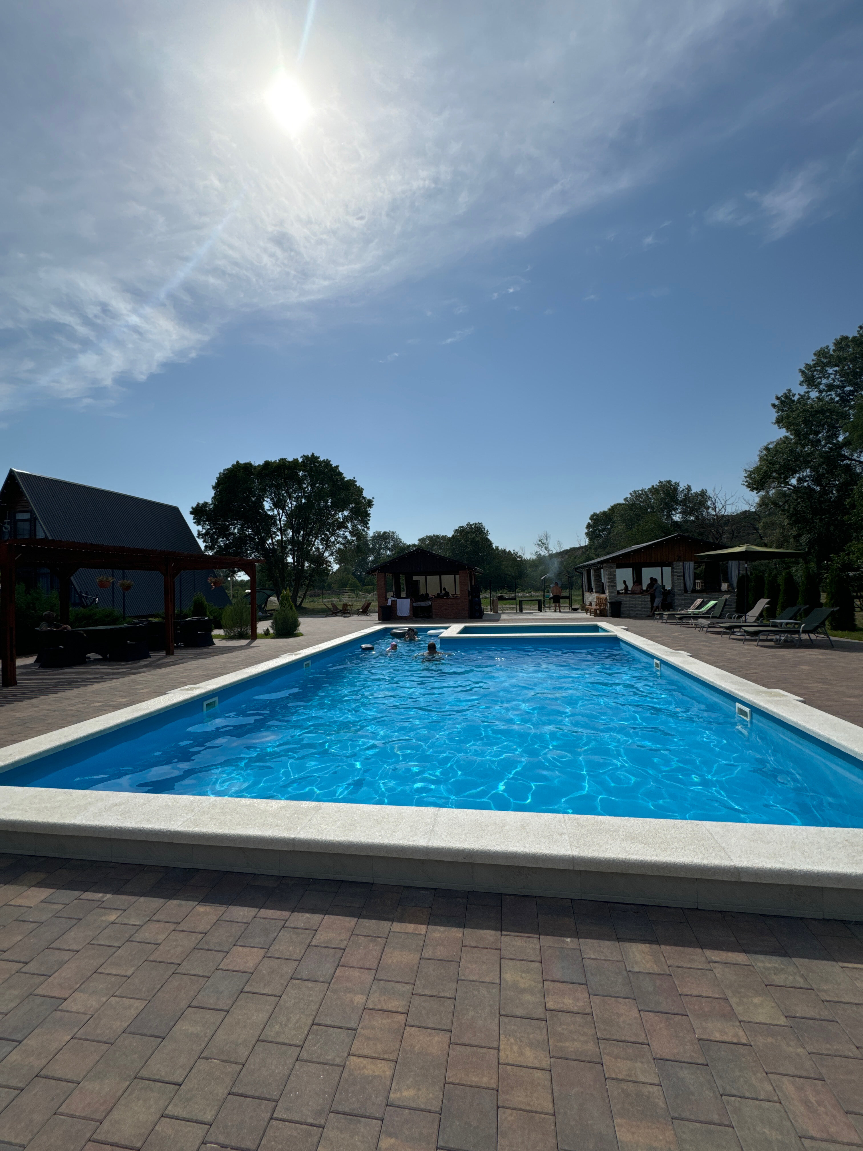 Фото Кипарис