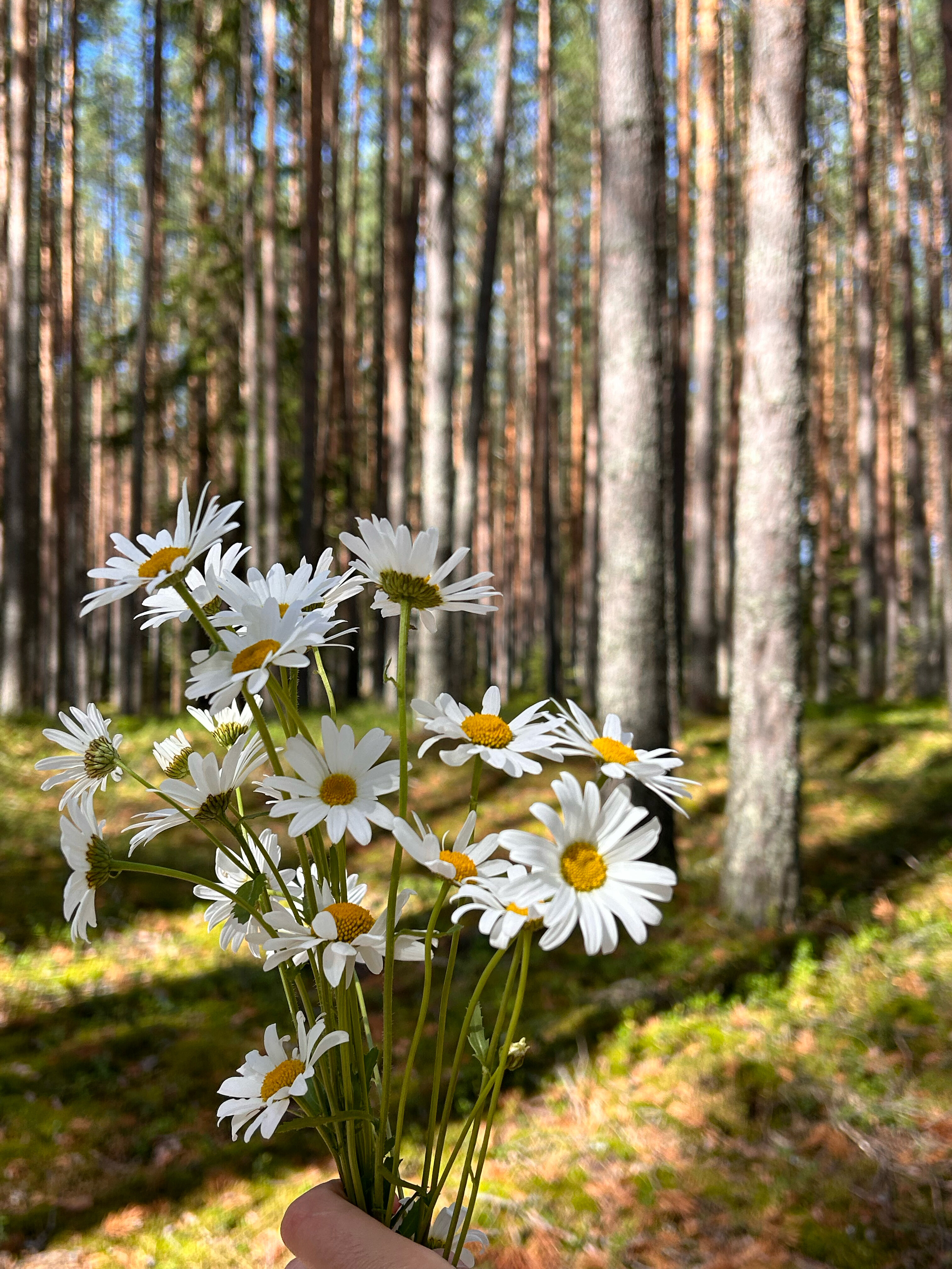 Фото Ривер Хаус