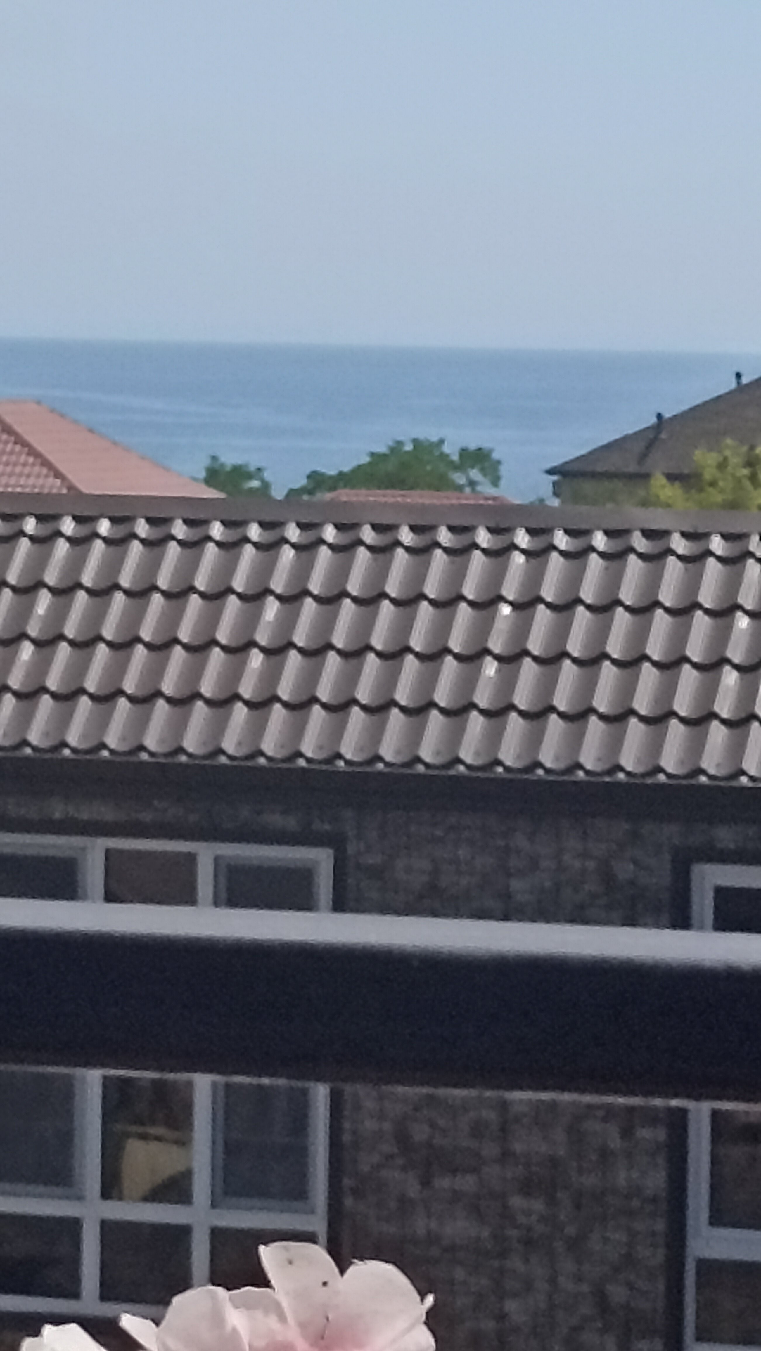 Фото Санрайз