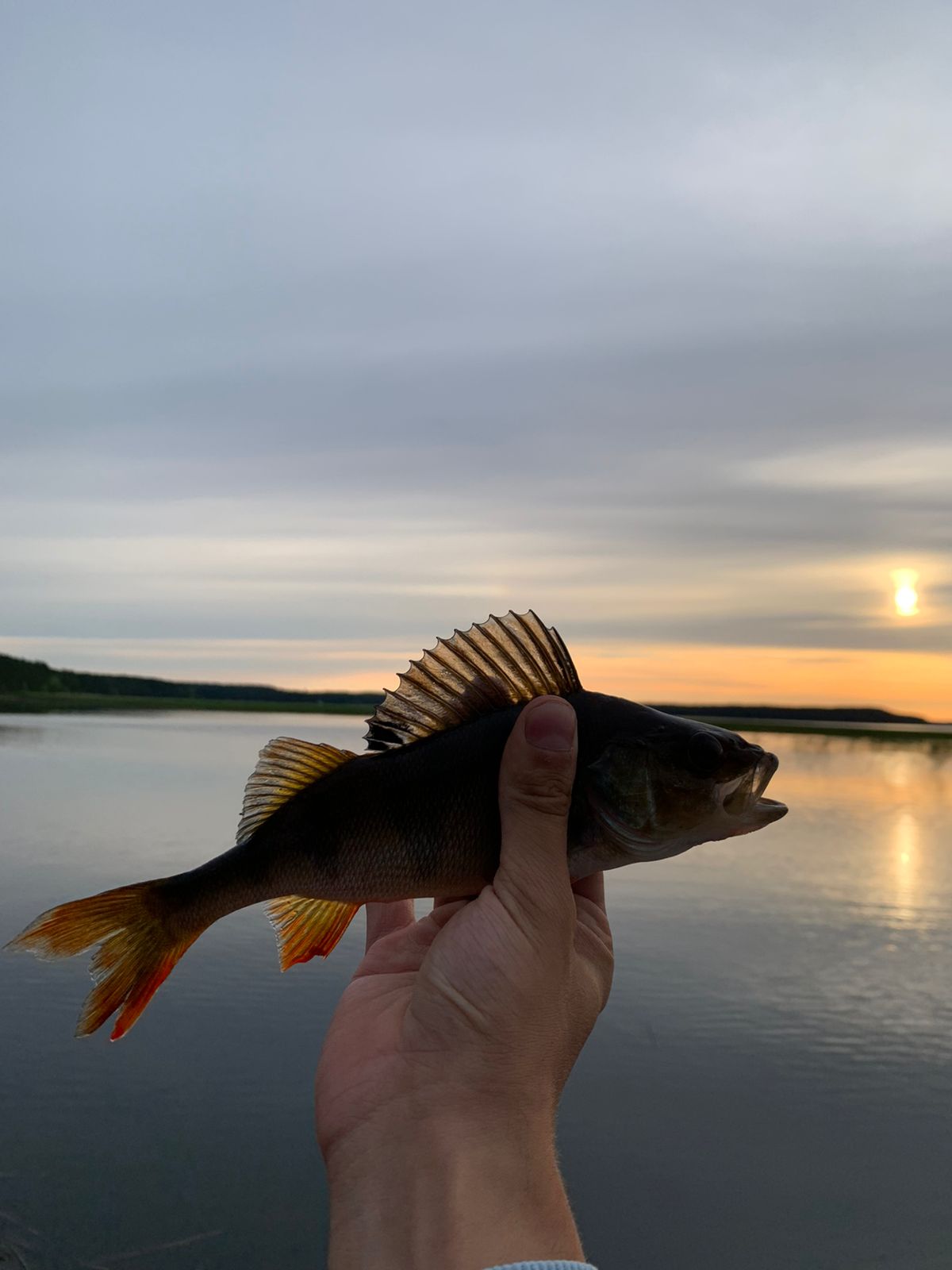 Фото Северное сияние