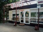 Дарина (ulitsa Rabkorov, 20к1) ، محل زهور