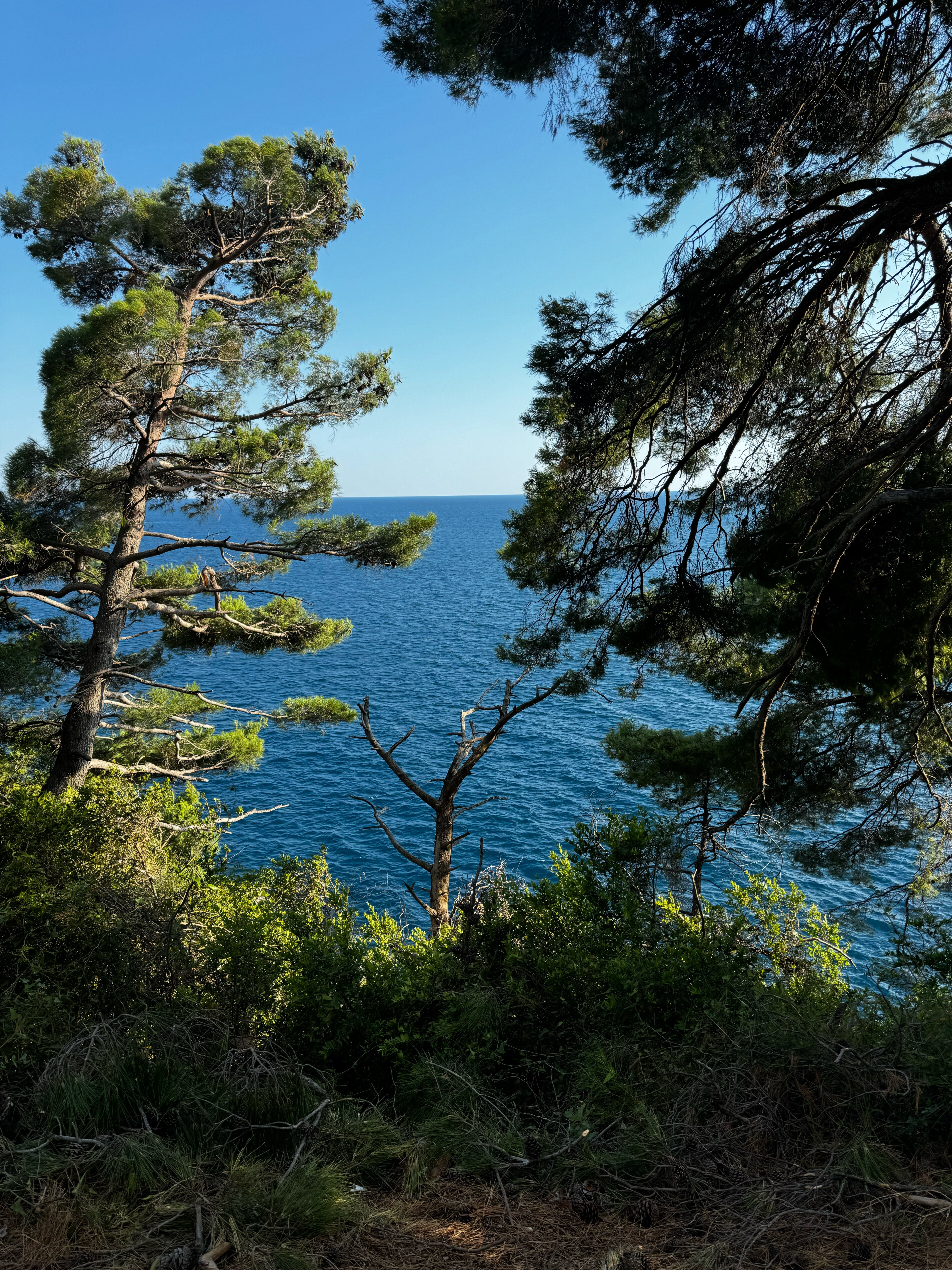 Фото AMI Budva Petrovac