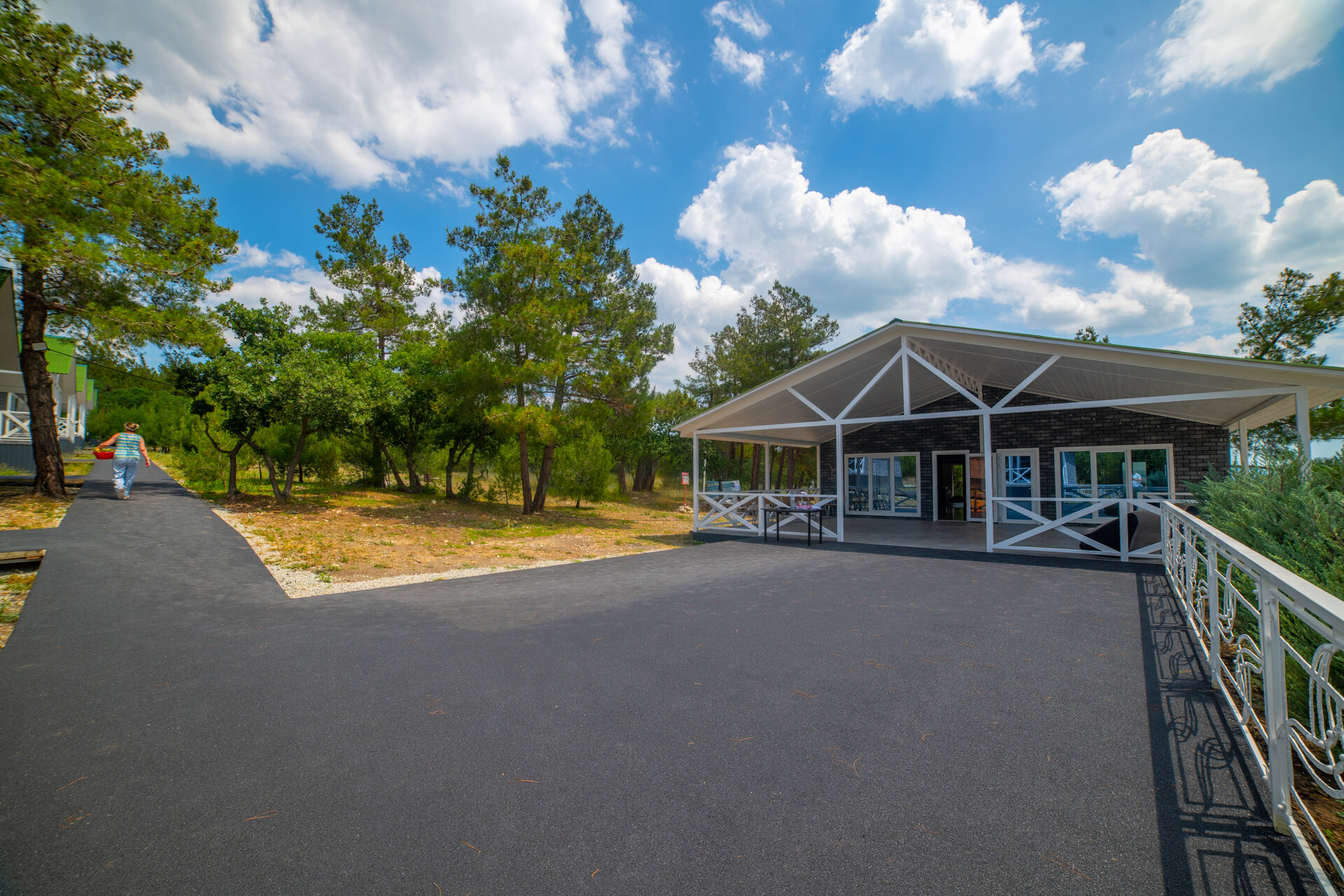 Фото Елки и Иголки