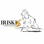 Питомник английских кокер спаниелей Iriski's (No:57, Vorypaevo Village), evcil hayvan yetiştiricileri  Moskova ve Moskovskaya oblastından