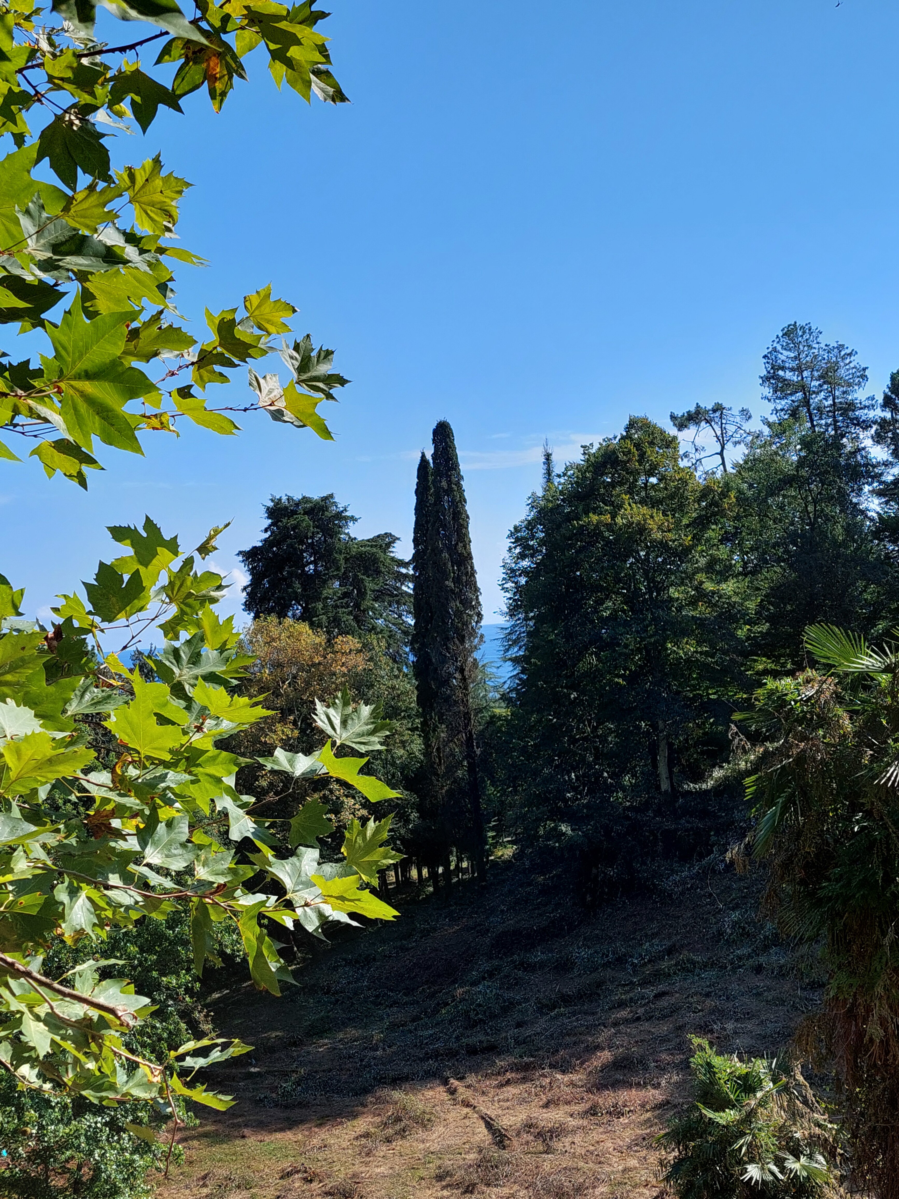 Фото Госдача Мюссера