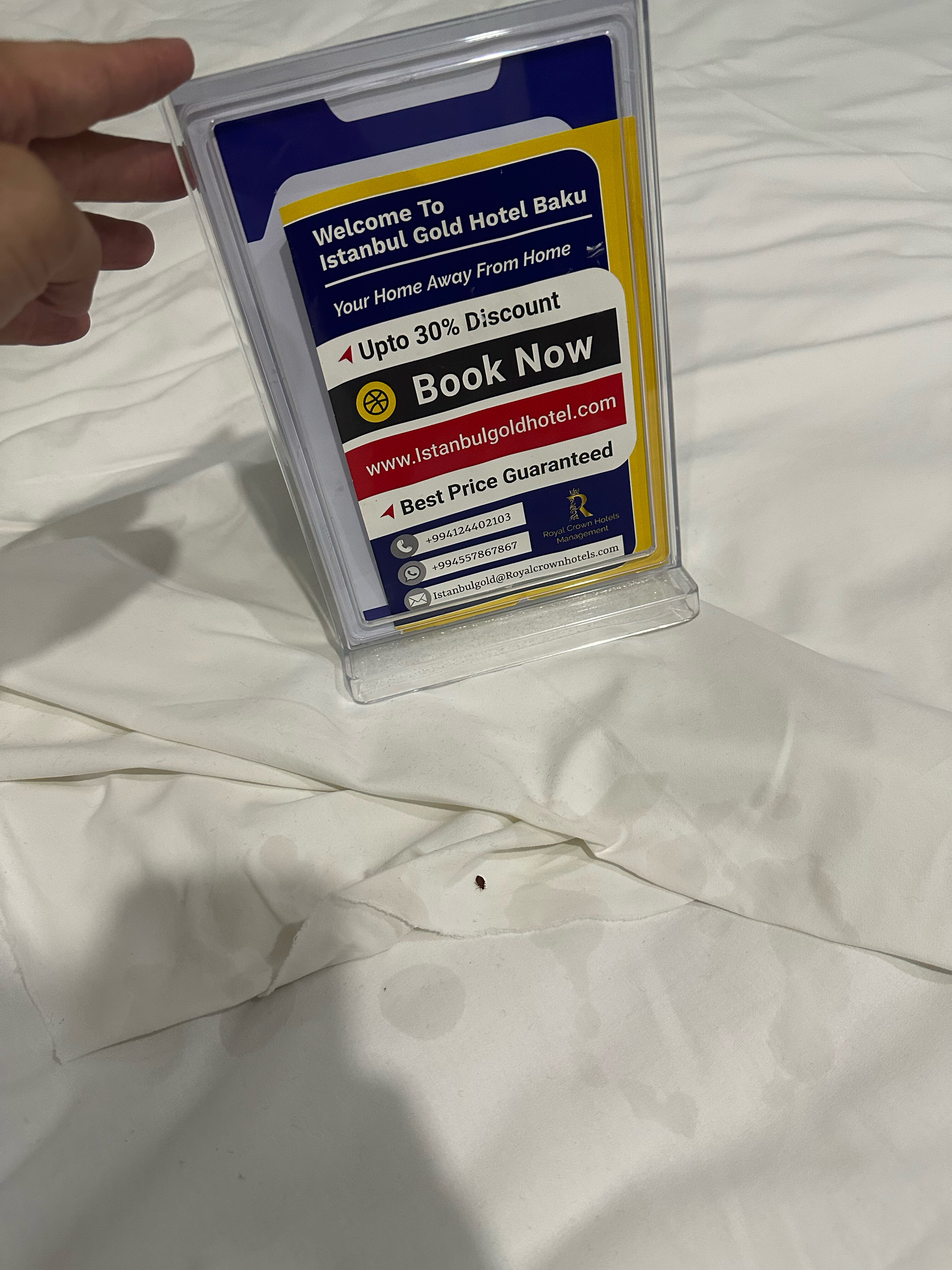 Фото Istanbul Gold Hotel