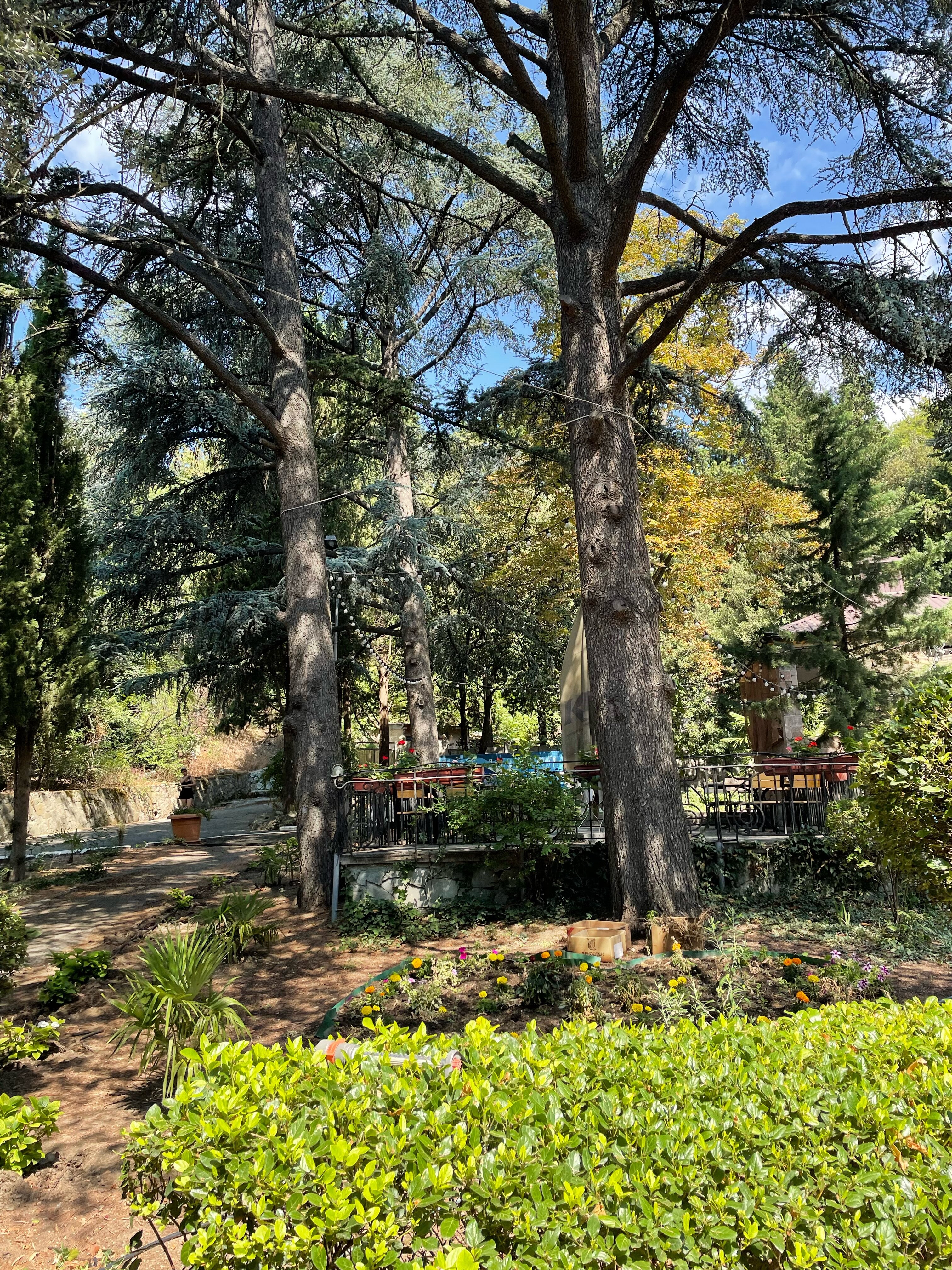 Фото Олива Парк