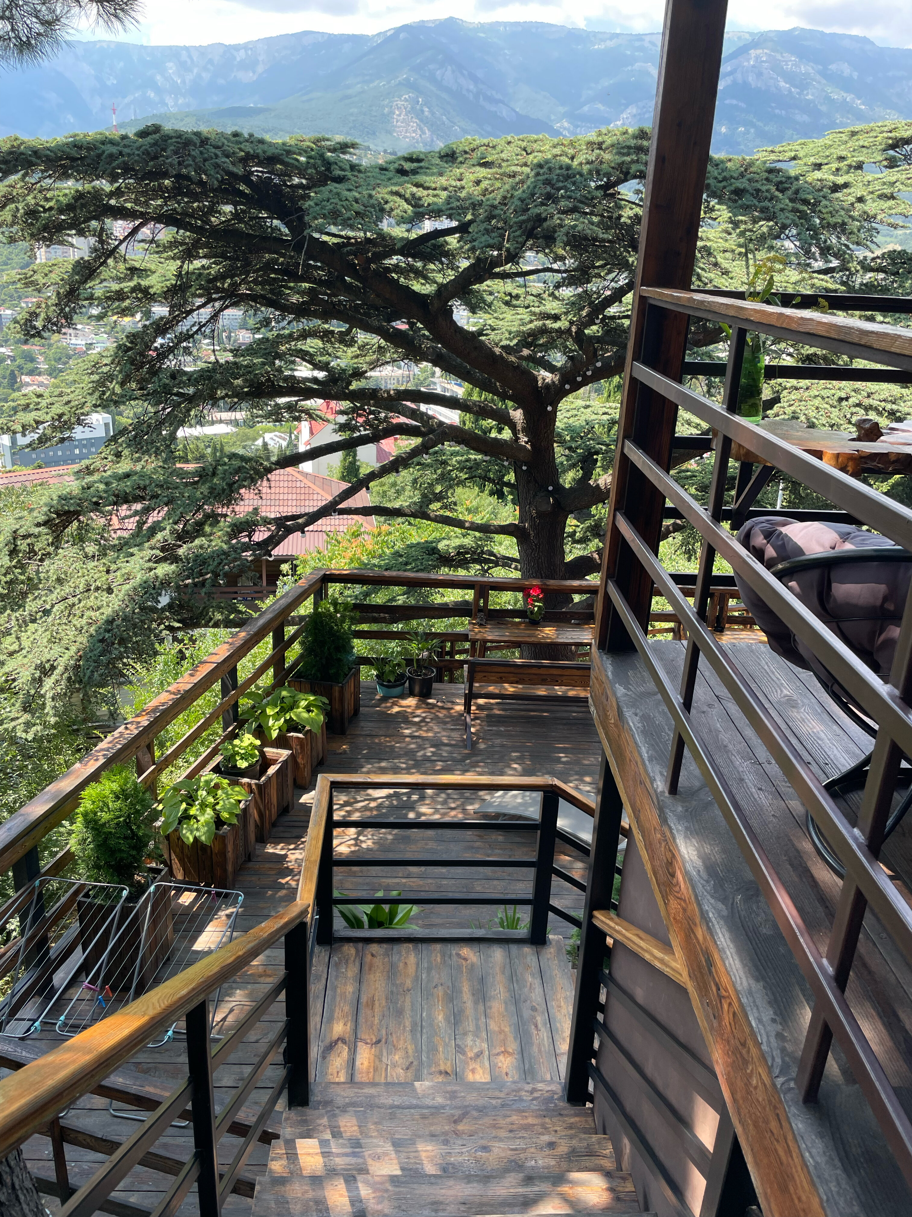 Фото Мистер Тукер